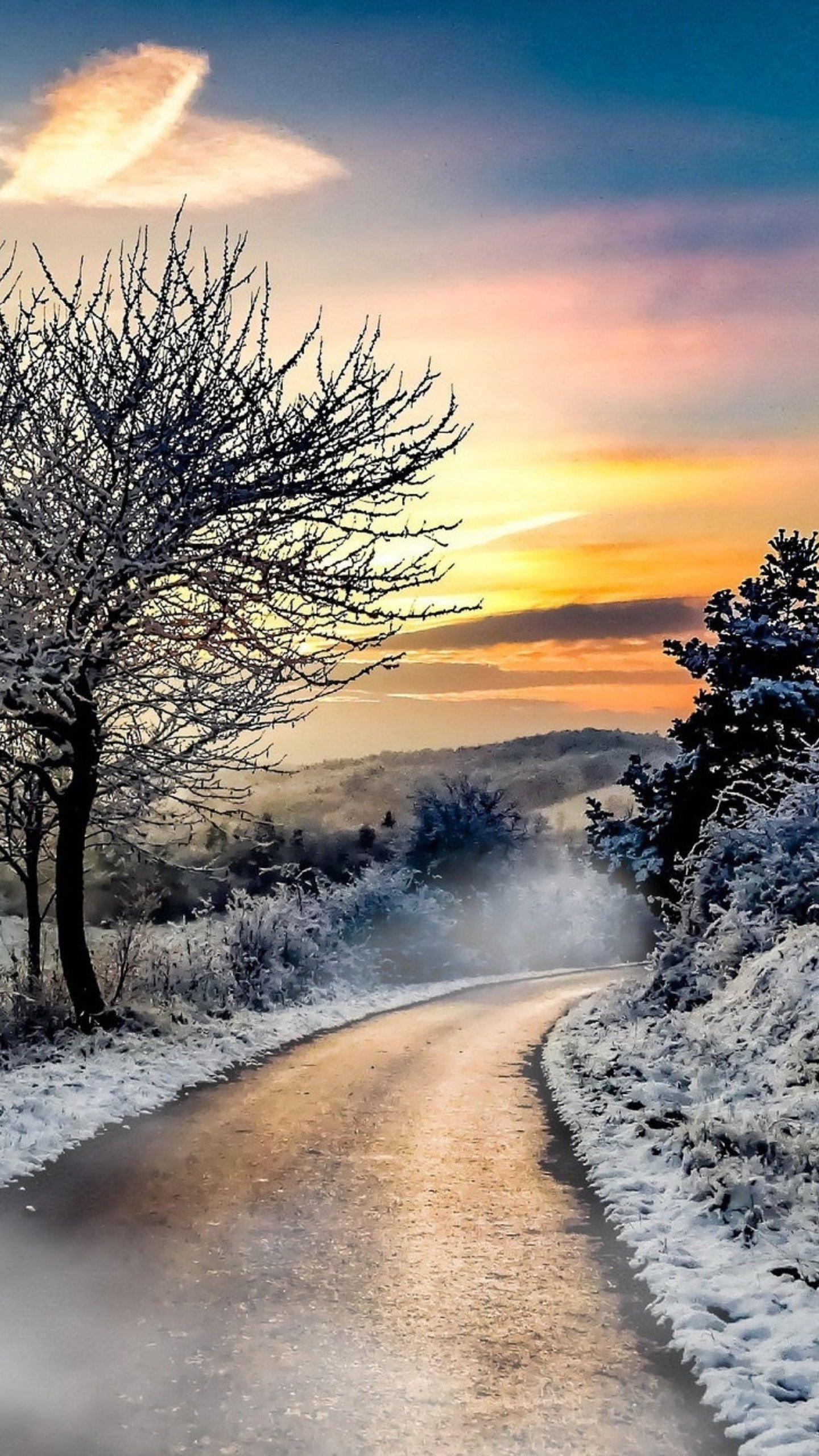 Winter road Wallpaper Download