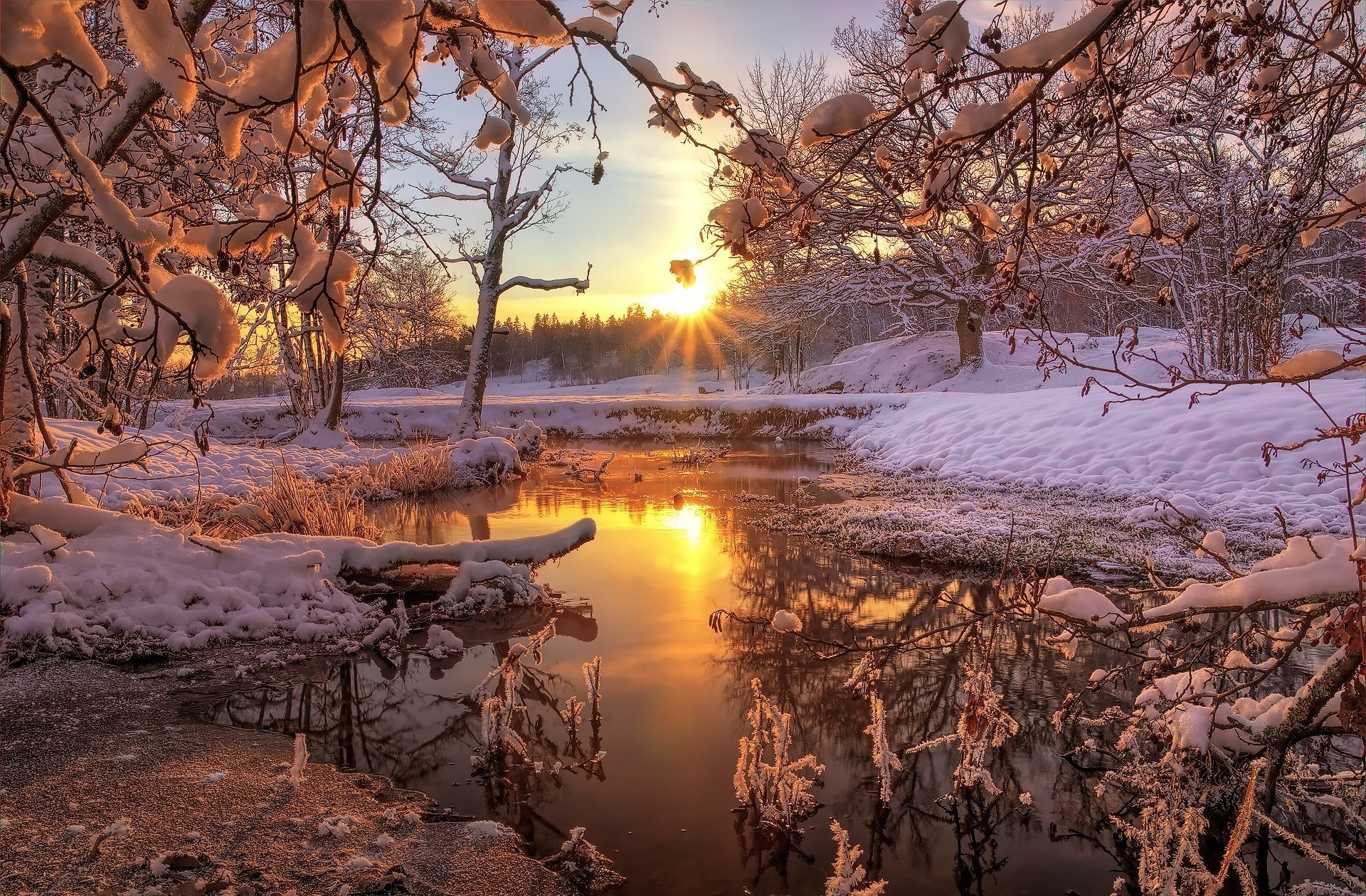 Nature Winter HD Wallpaper