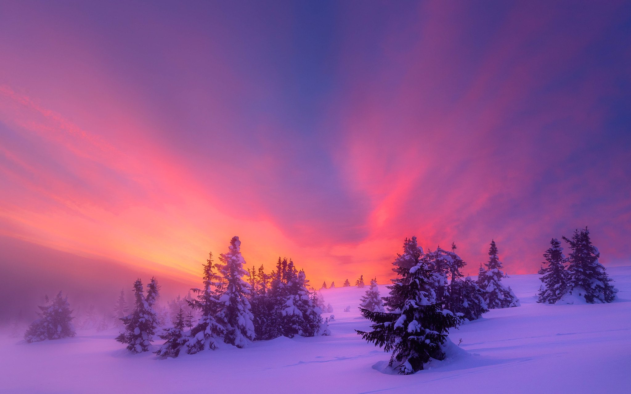 Nature Winter HD Wallpaper by Jørn Allan Pedersen