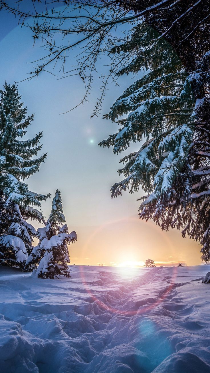 Wallpaper Download 1080x1920 Sunset of a winter day. Footprints in the snow, HD Wallpaper, Download f. iPhone wallpaper winter, Winter wallpaper, Winter landscape