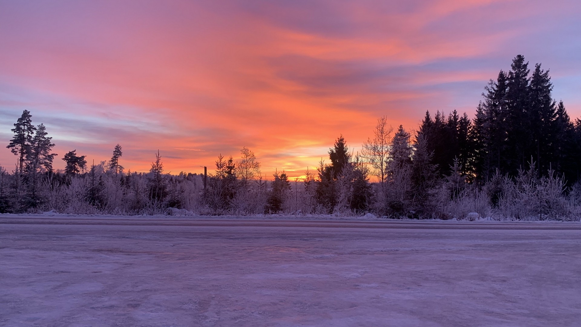 Winter, horizon, dawn, snow, trees, sky, snowy, sunrise. picture, photo, desktop wallpaper