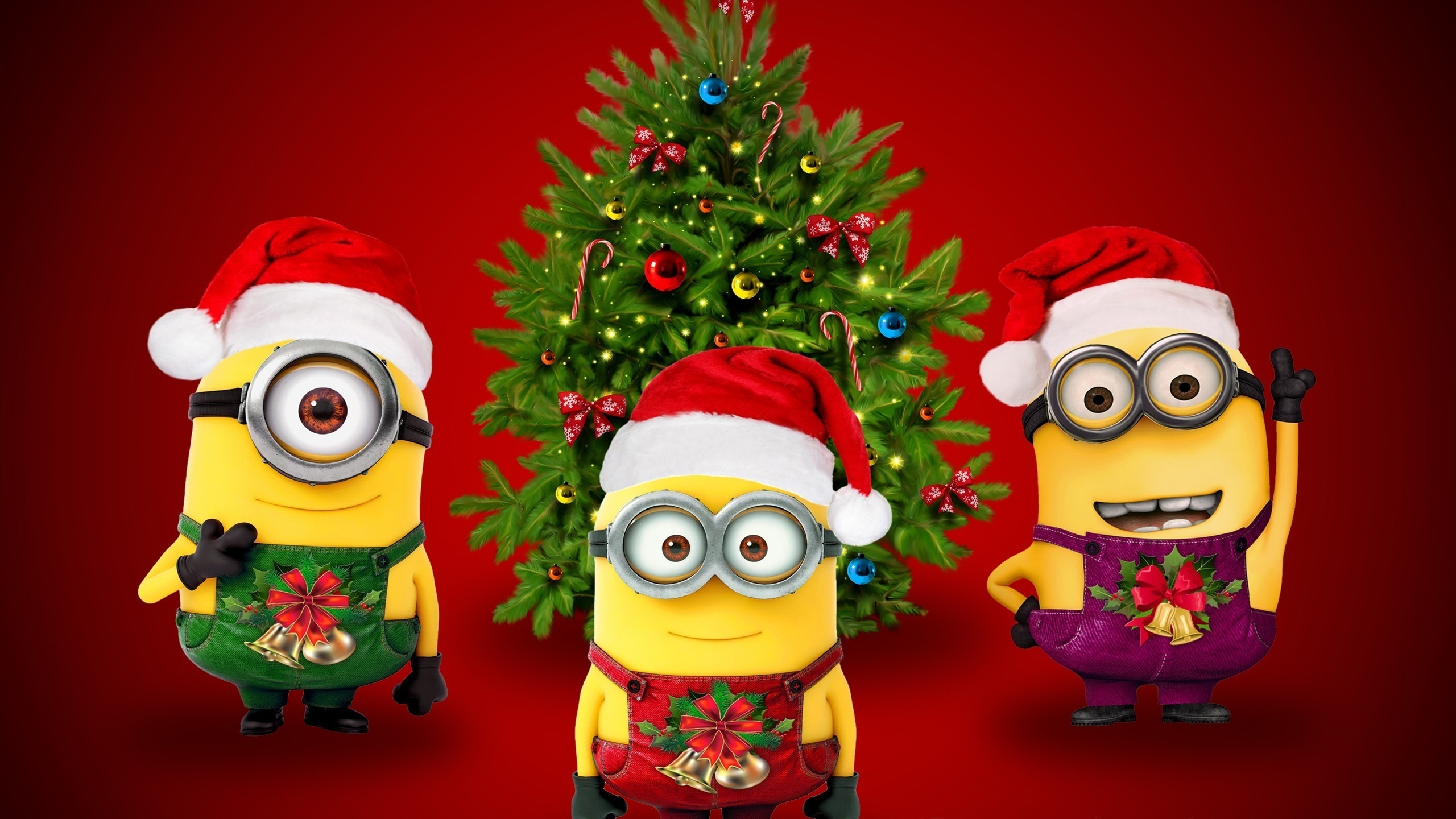 Christmas & Minions 2560x1440 HDTV Wallpaper