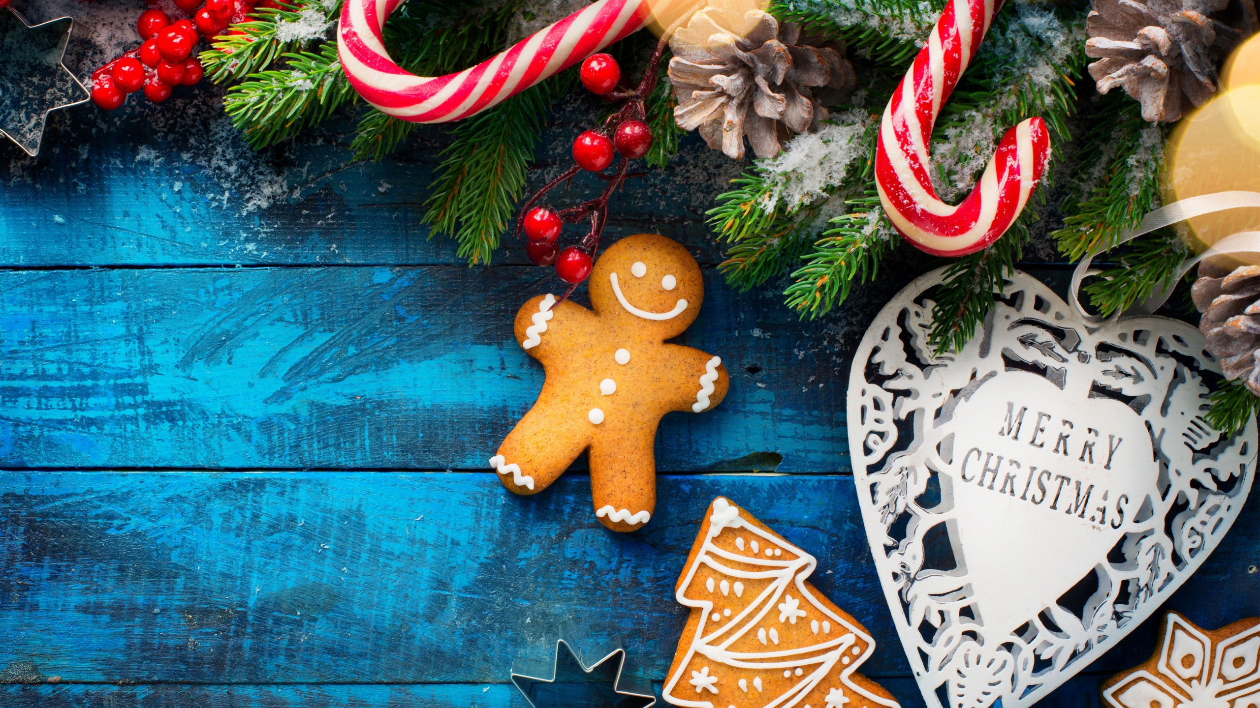 Download Wallpaper 2560x1440 Christmas, Berry, Cookies, Decorative, X Mas Branches, Dual Wide 16:9 2560x1440 HD Background, 17678