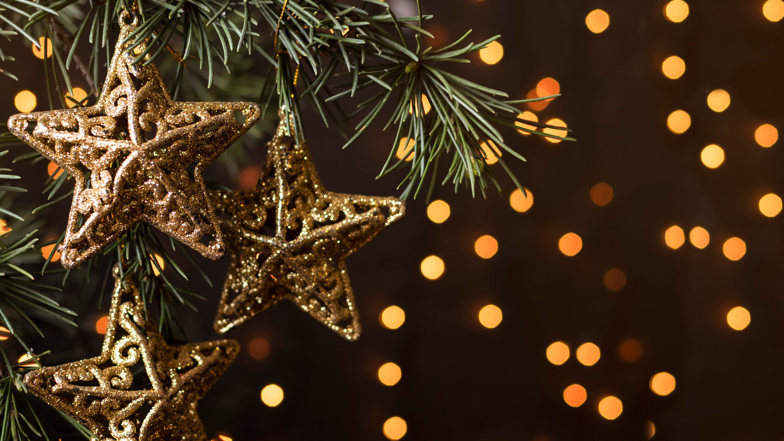 Download wallpaper branches, glare, background, stars, Christmas, New year, section new year / christmas in resolution 2560x1440