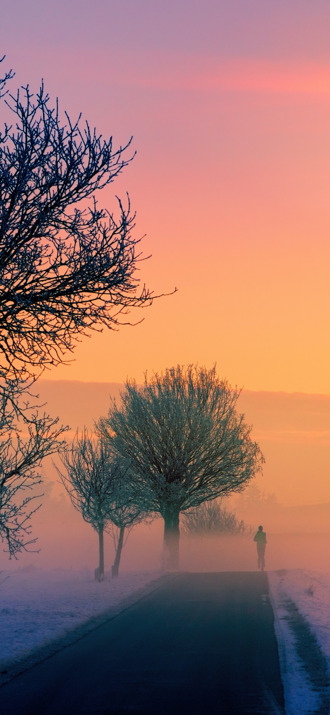 Golden hour Wallpaper 4K, Foggy, Sunrise, Morning, Winter