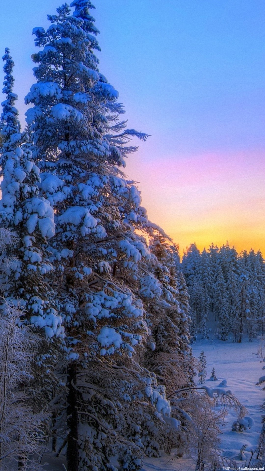 Tree winter sunset landscape iPhone 6 wallpaper HD