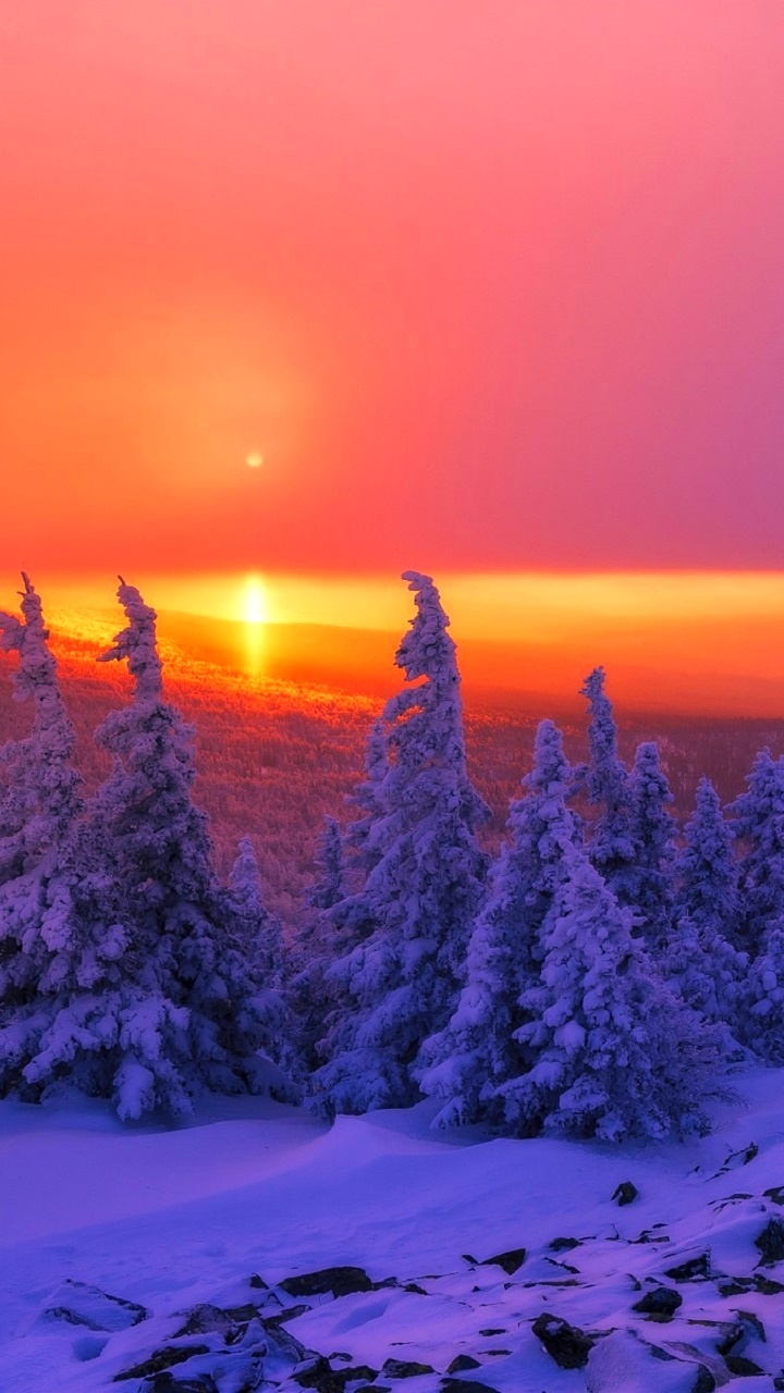 Earth Sunset, Sky, Forest, Landscape, Winter, Nature, 720x1280 Phone HD Wallpaper