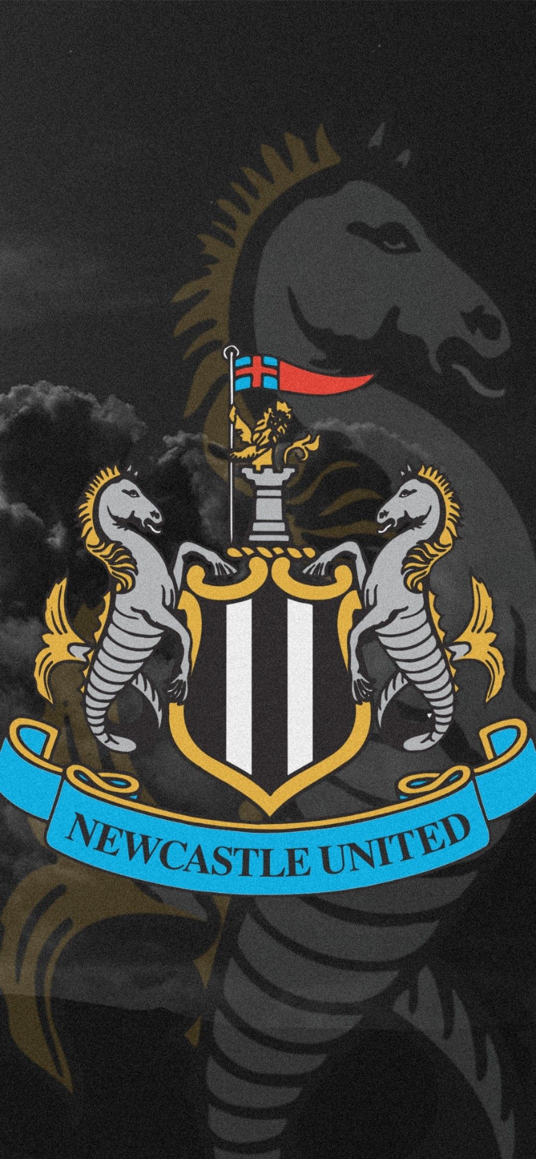 Newcastle. Newcastle united wallpaper, Newcastle, Newcastle united football