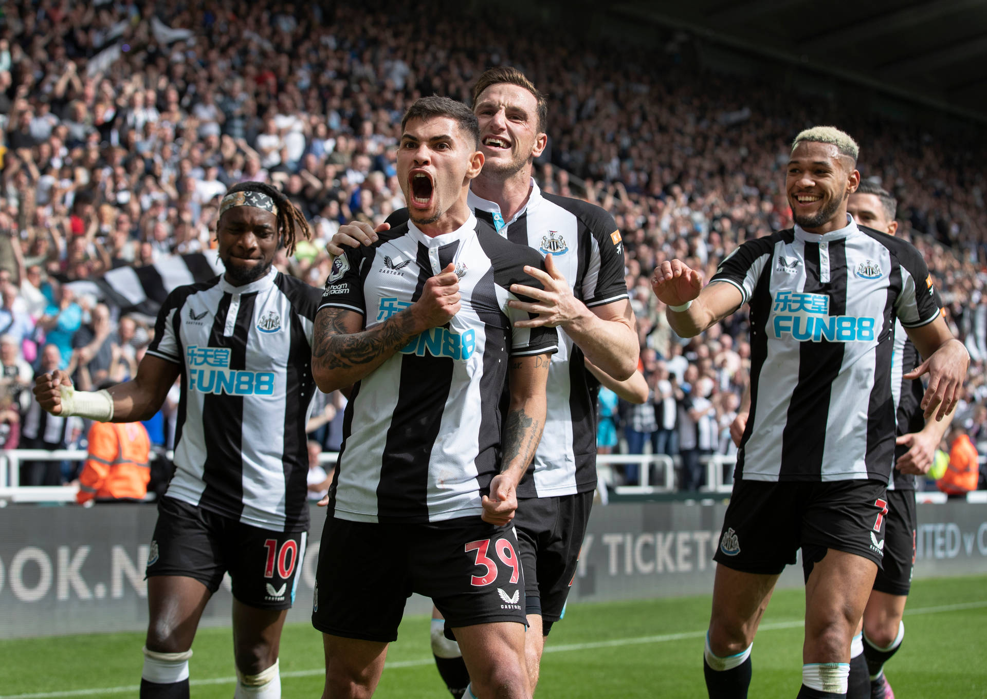 Download Newcastle United FC Celebrating Wallpaper