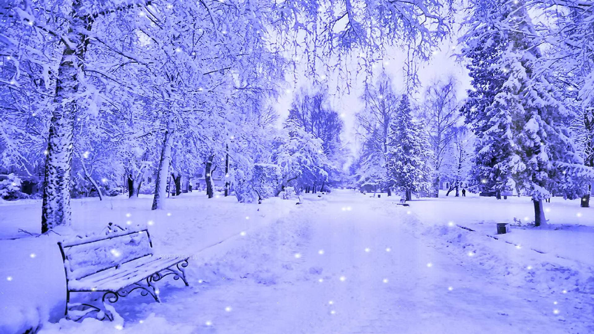 Snow Wallpaper
