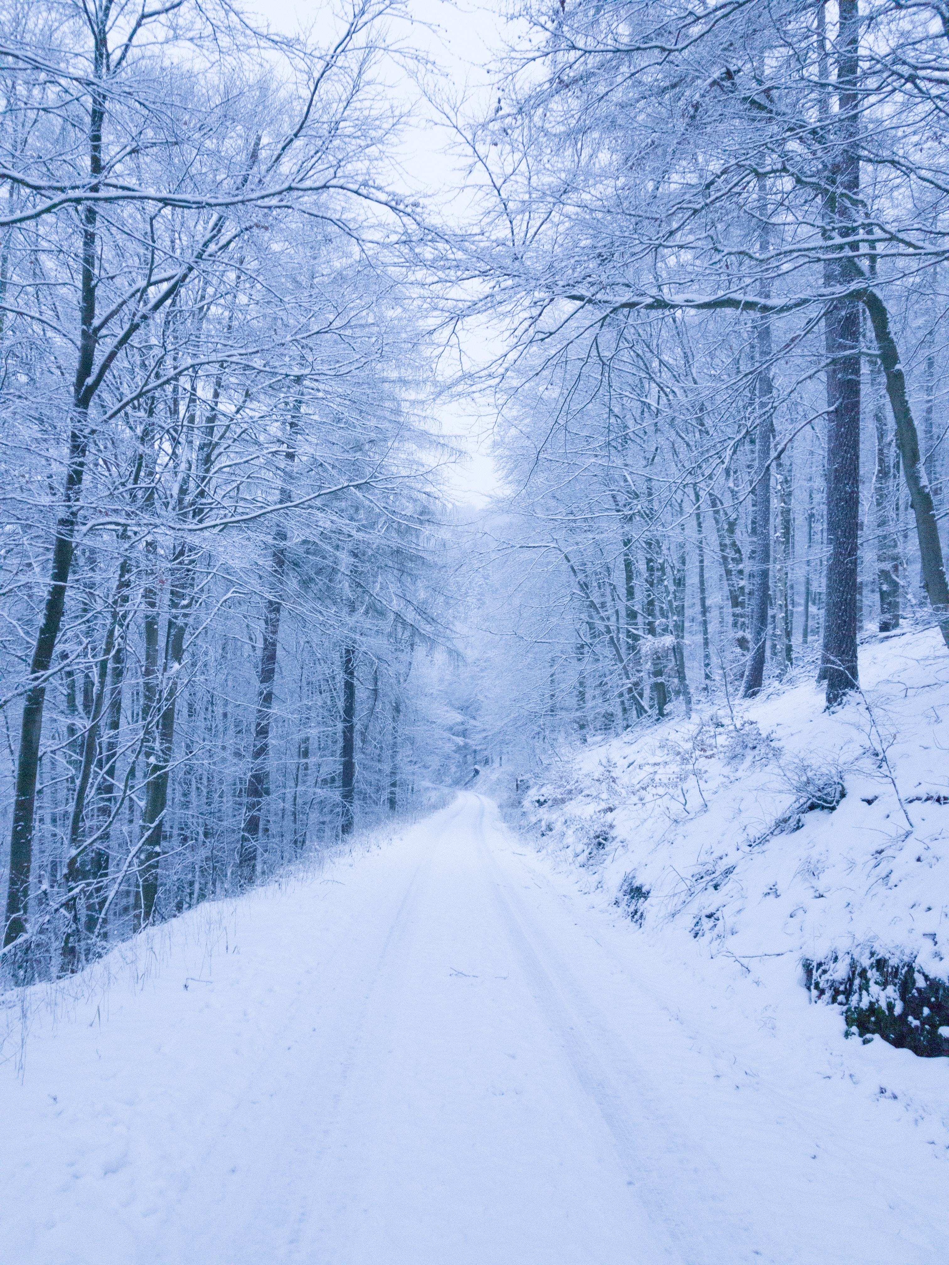 Download Snow wallpaper for mobile phone, free Snow HD picture