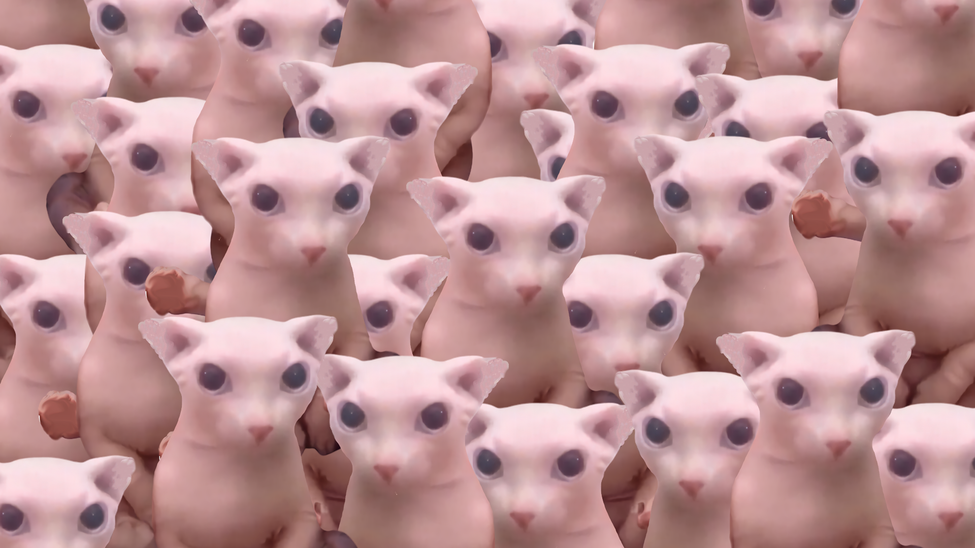 The beautiful bingus collage in 1080p