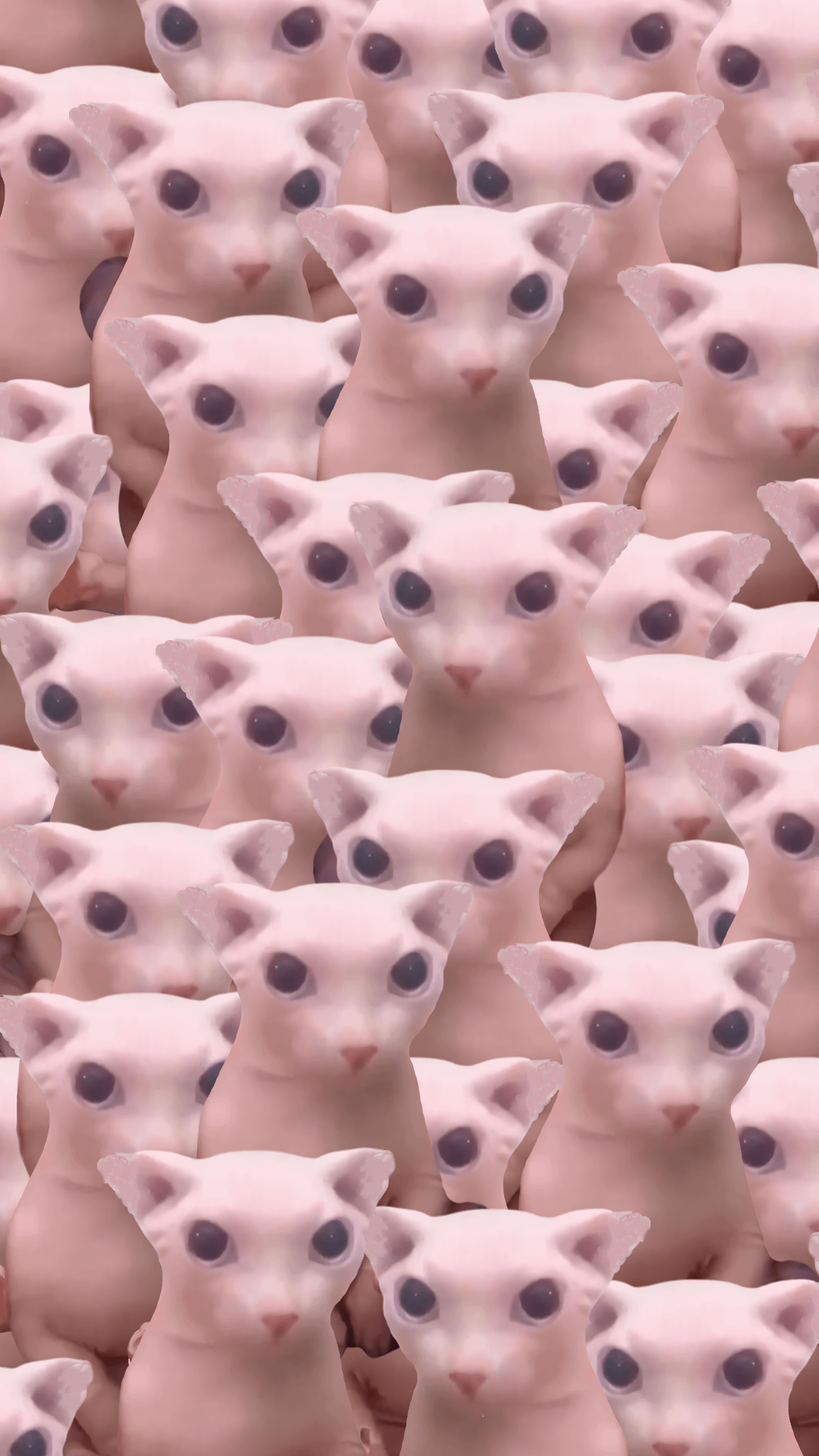 A vertical bingus collage