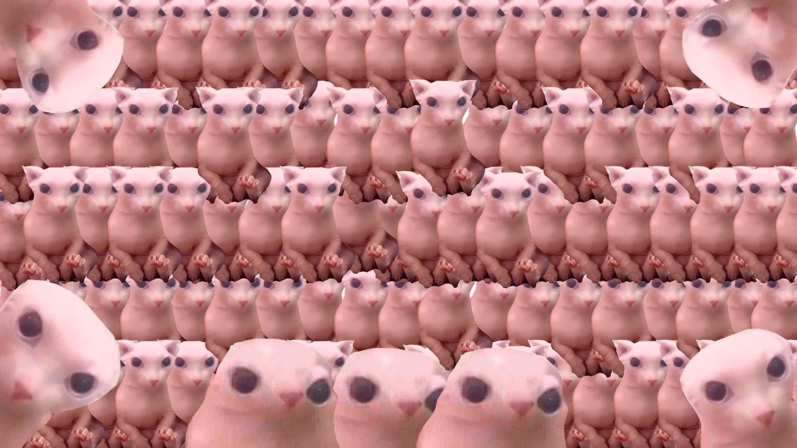 This is my favourite picture of all time