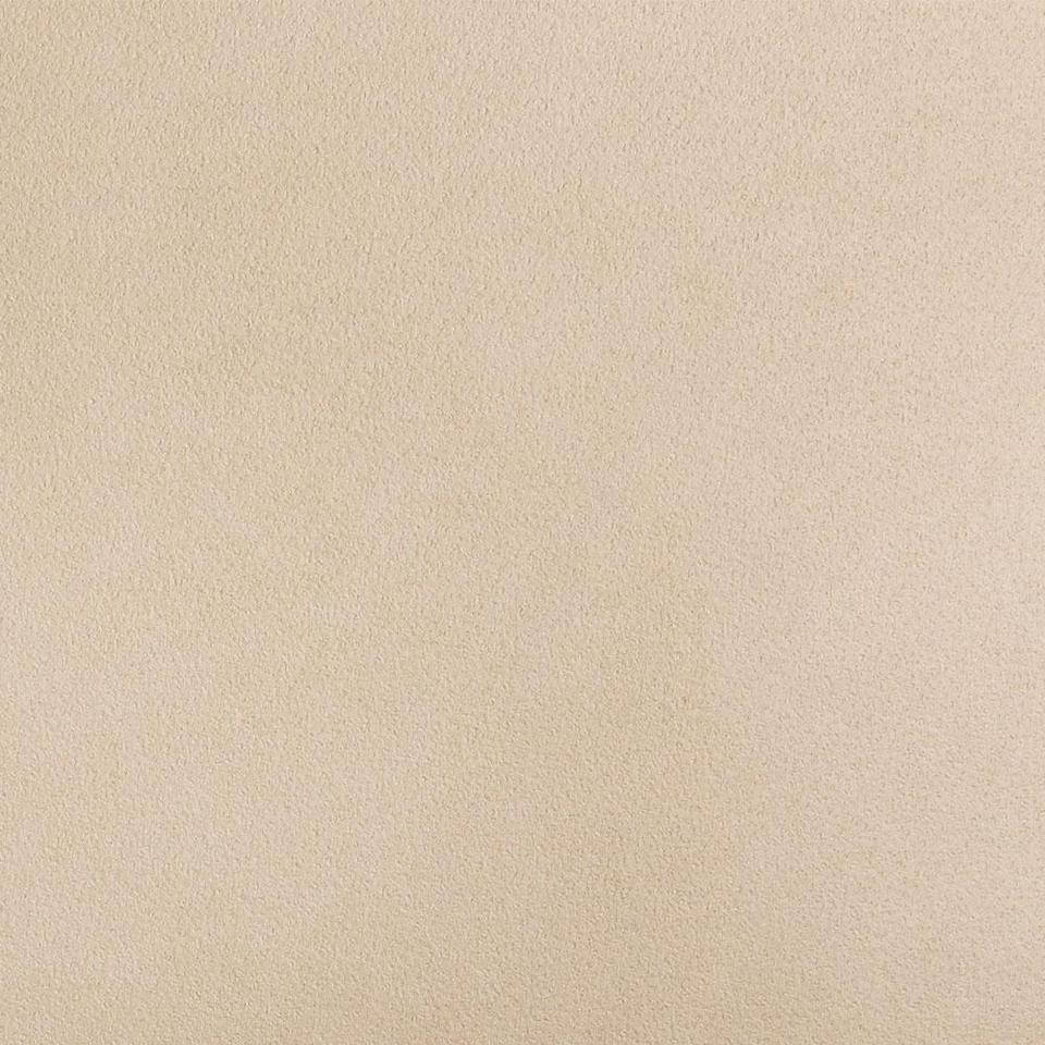 Download Enjoy the Natural Beauty of Plain Wallpaper