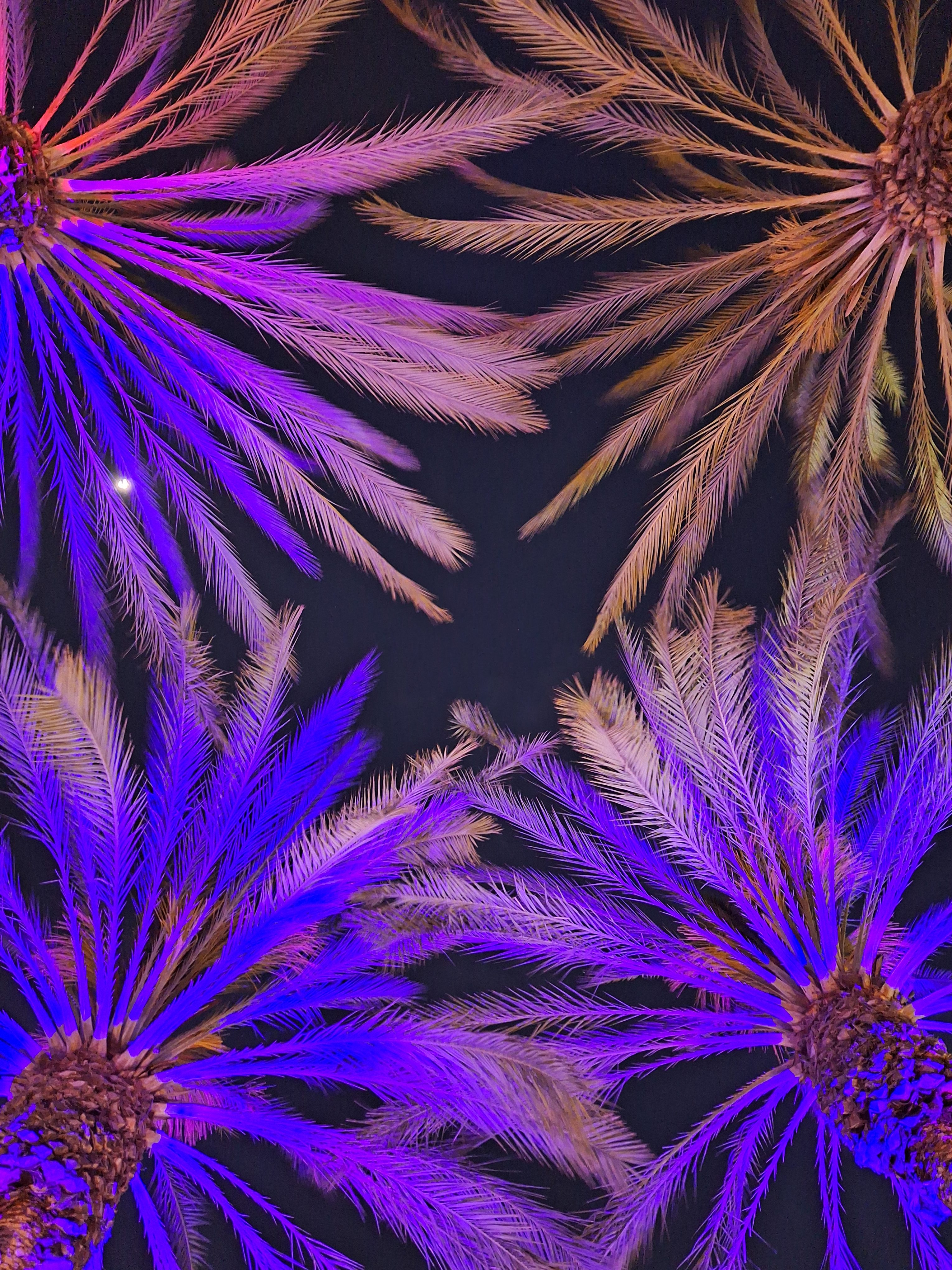 Can a $450 phone beat the Galaxy S23's cameras? It's close