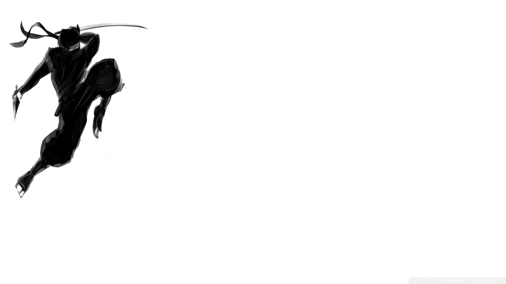 Ninja Ultra HD Desktop Background Wallpaper for 4K UHD TV, Multi Display, Dual Monitor, Tablet