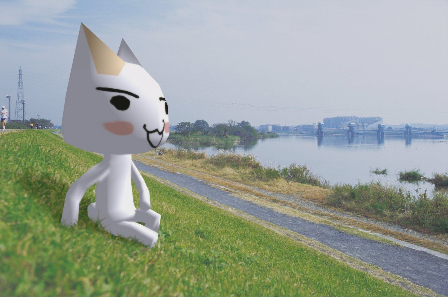 Toro Inoue on Twitter. Cute wallpaper, Wallpaper, Cat icon