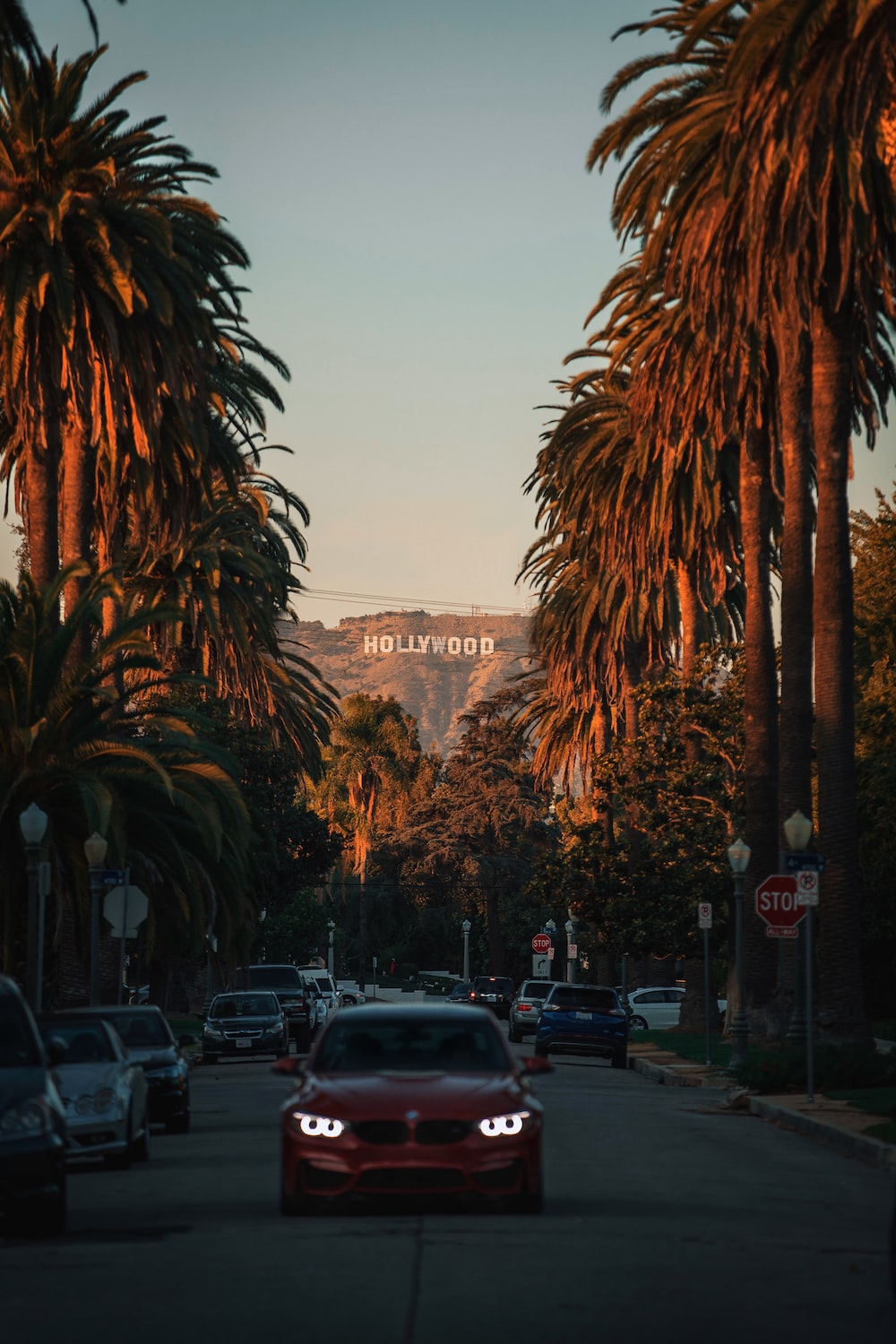 Hollywood Sign Picture [HQ]. Download Free Image