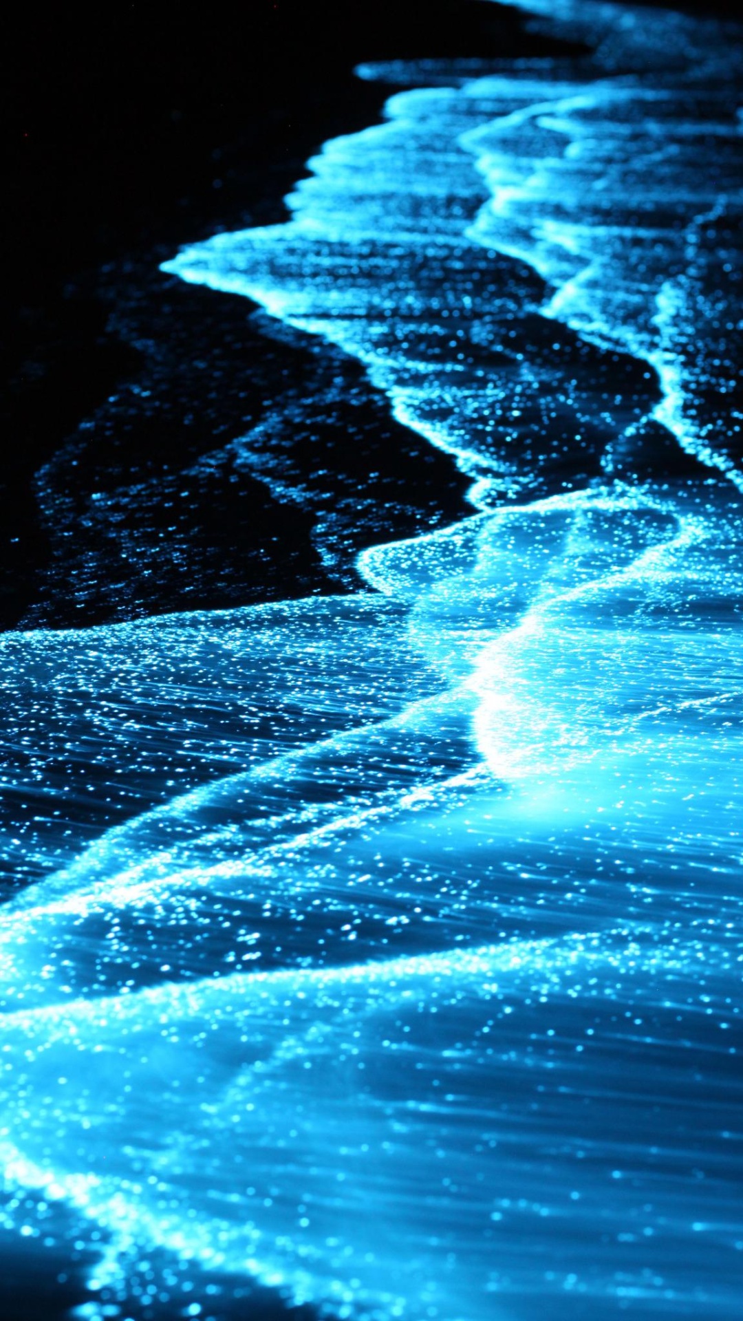 Best Bioluminescence Wallpaper [ HQ ]