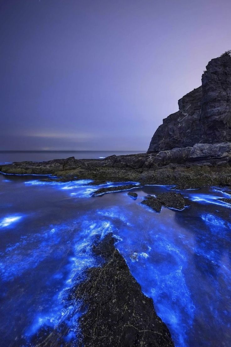 Bioluminescence aesthetic. Pretty landscapes, Pretty wallpaper background, Nature aesthetic