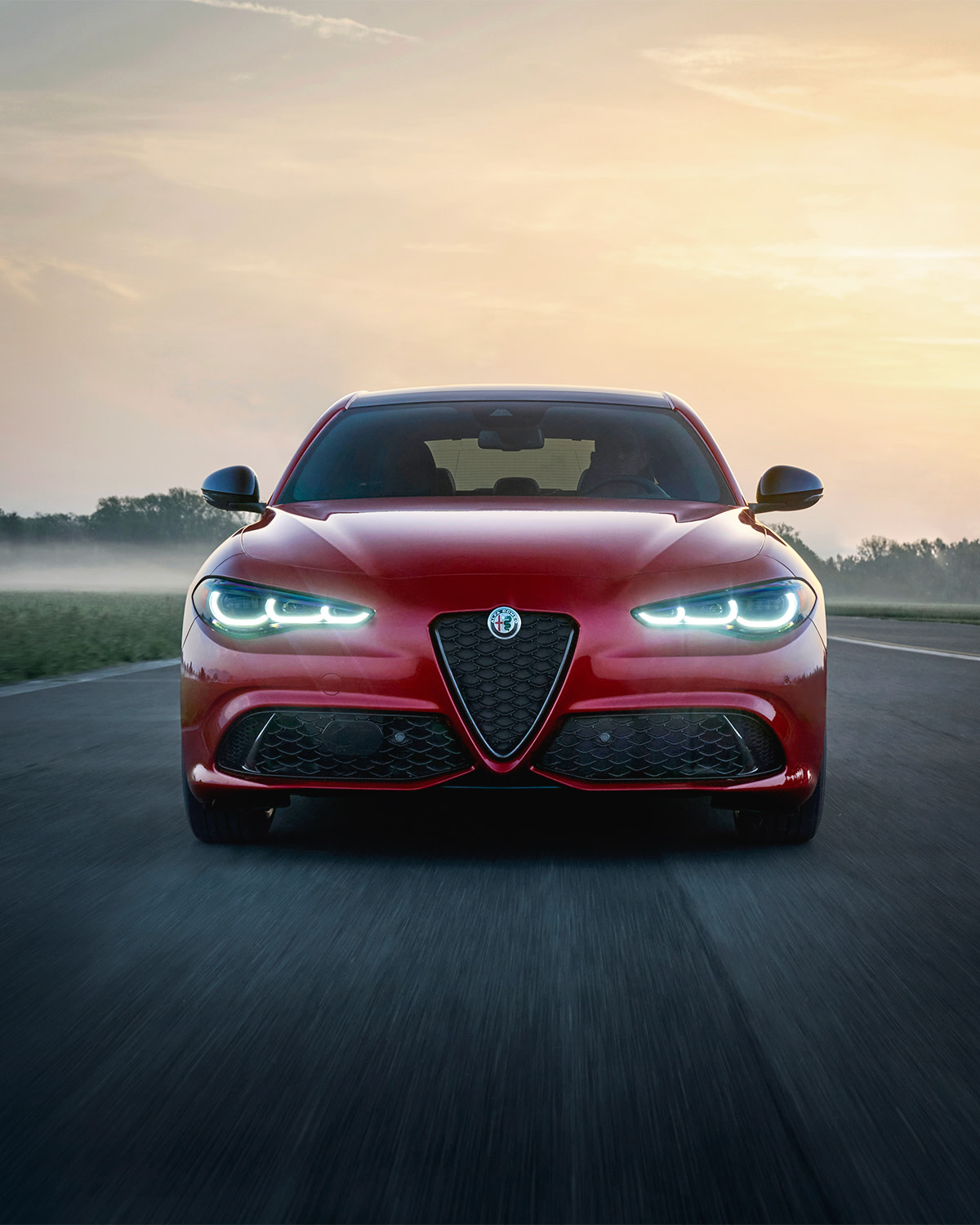 Alfa Romeo USA true statement piece