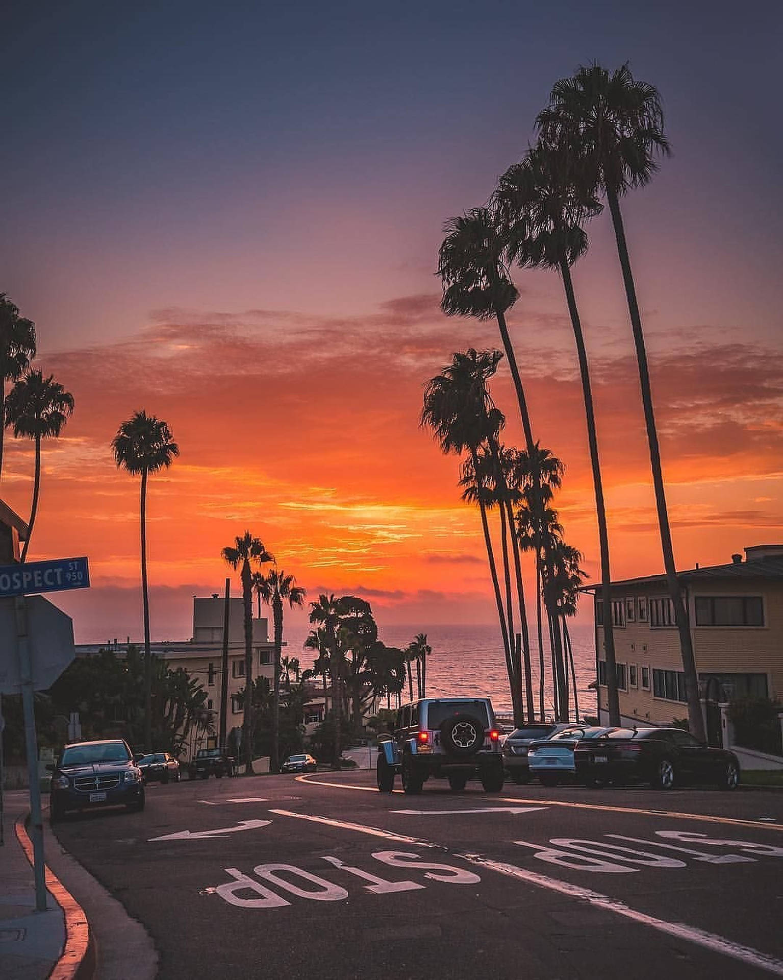 Sunset Boulevard Wallpaper