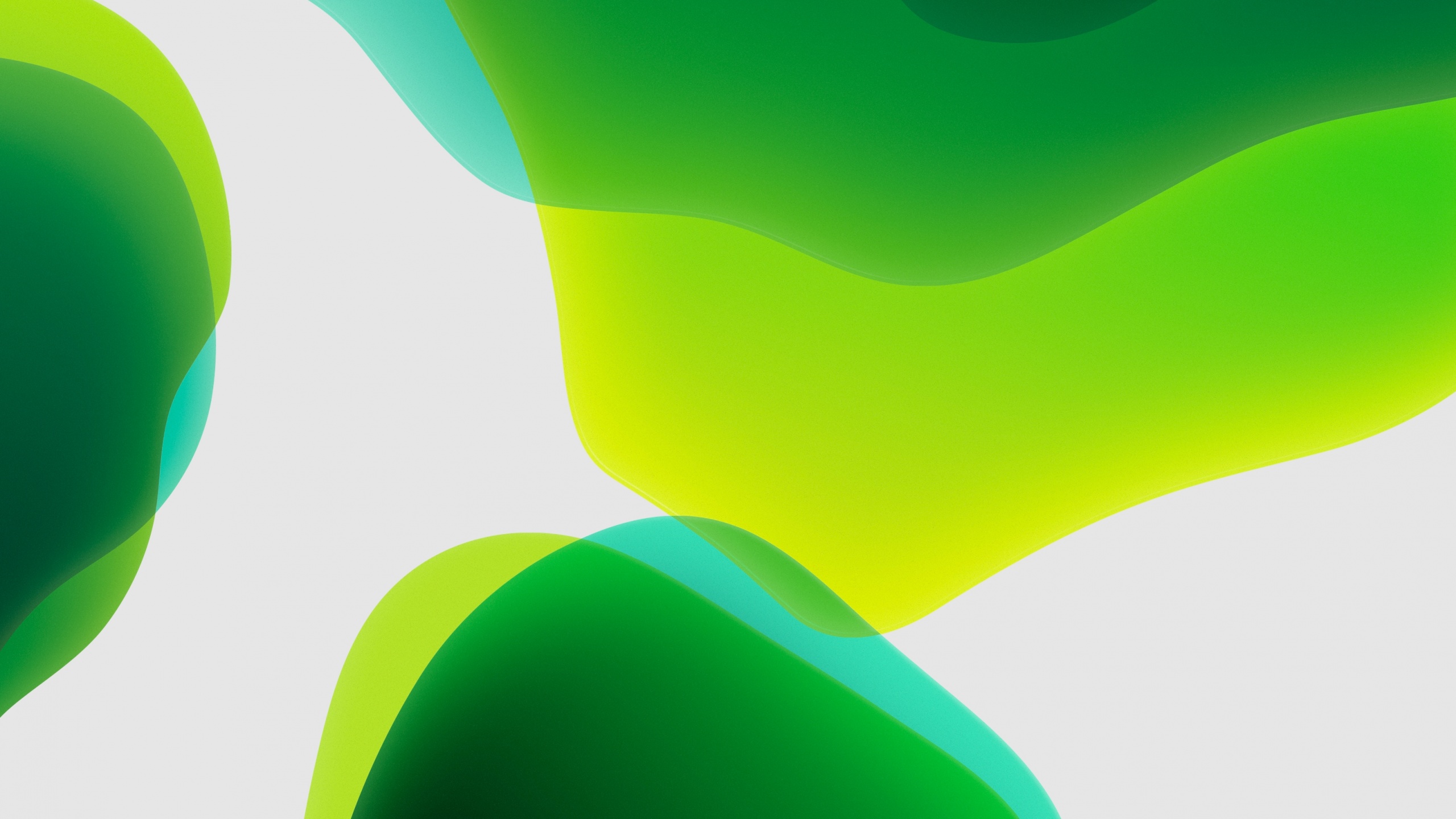 iPadOS Wallpaper 4K, Green, Stock, White background