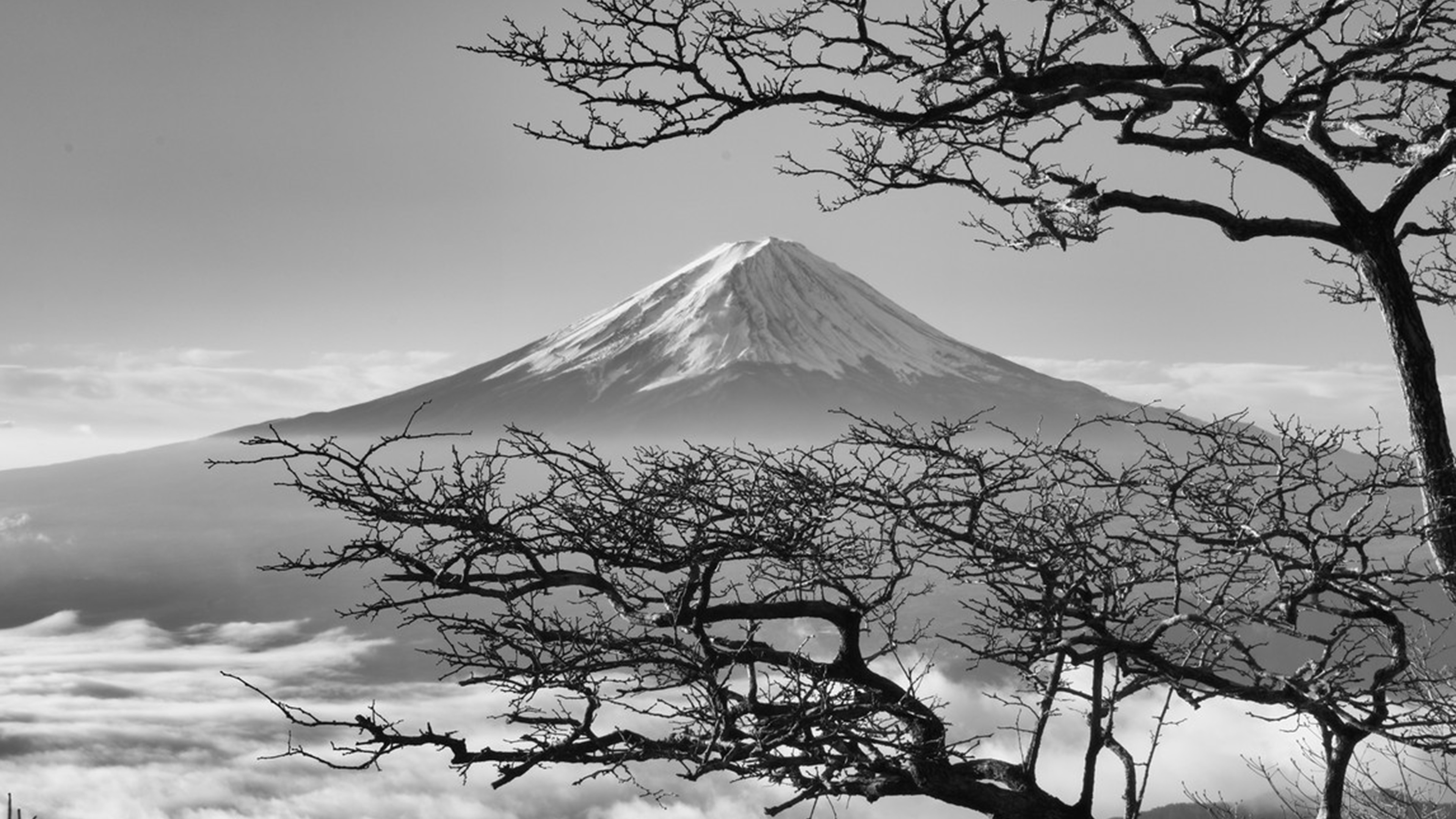 Japan Fuji Maountain Bw Nature