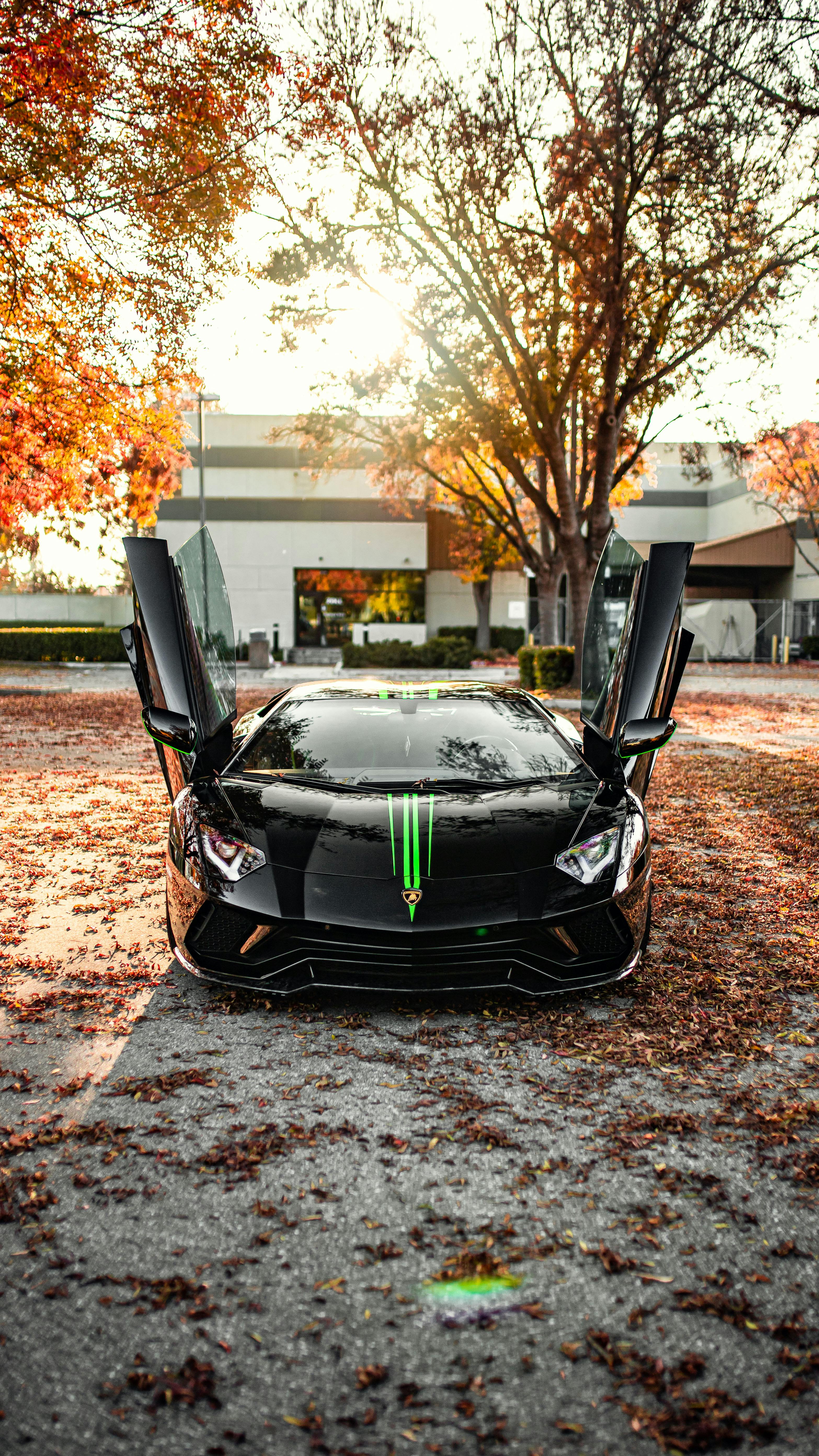 Black Lamborghini Aventador at Sunset · Free