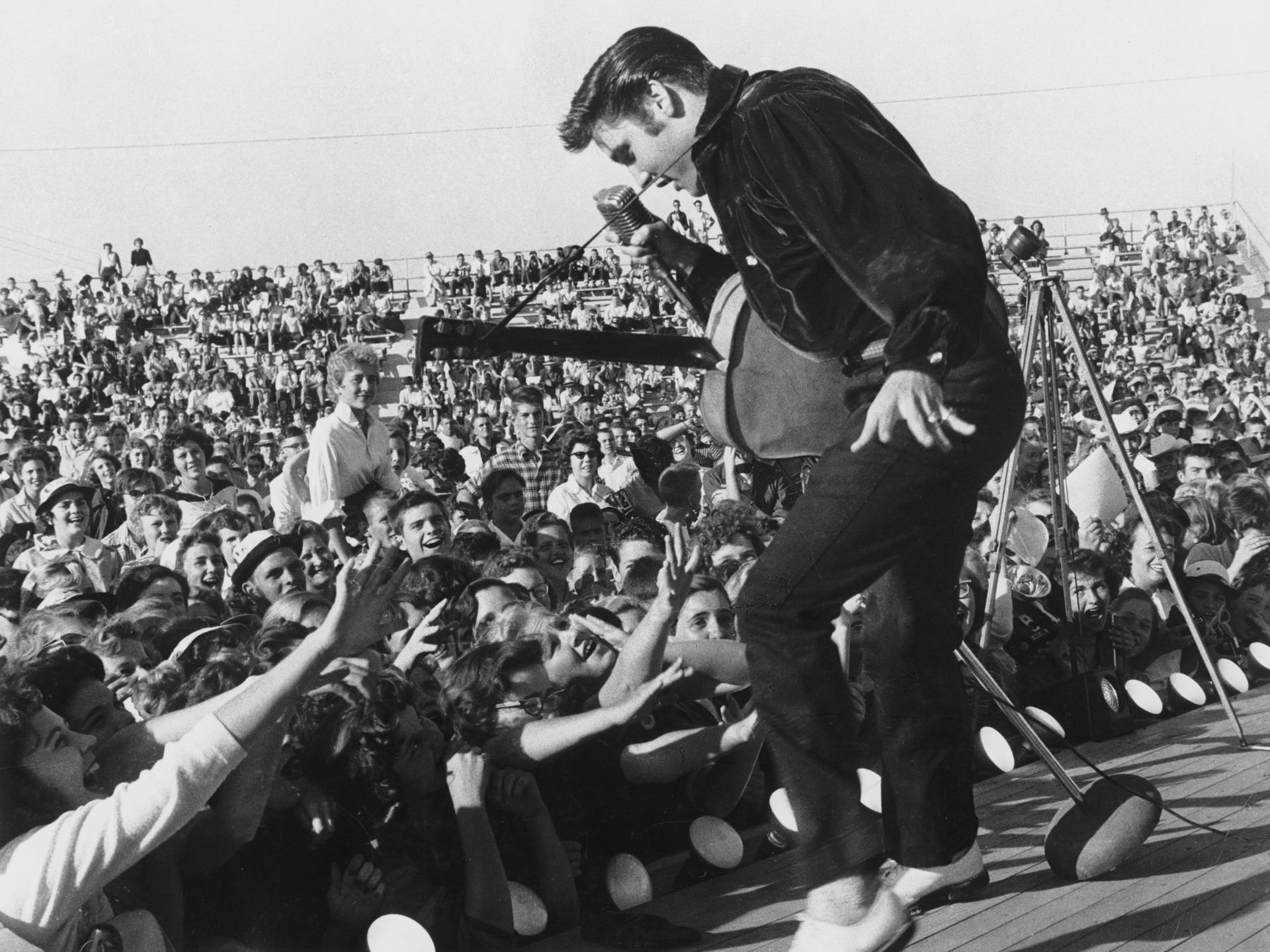 Download Elvis Presley wallpaper