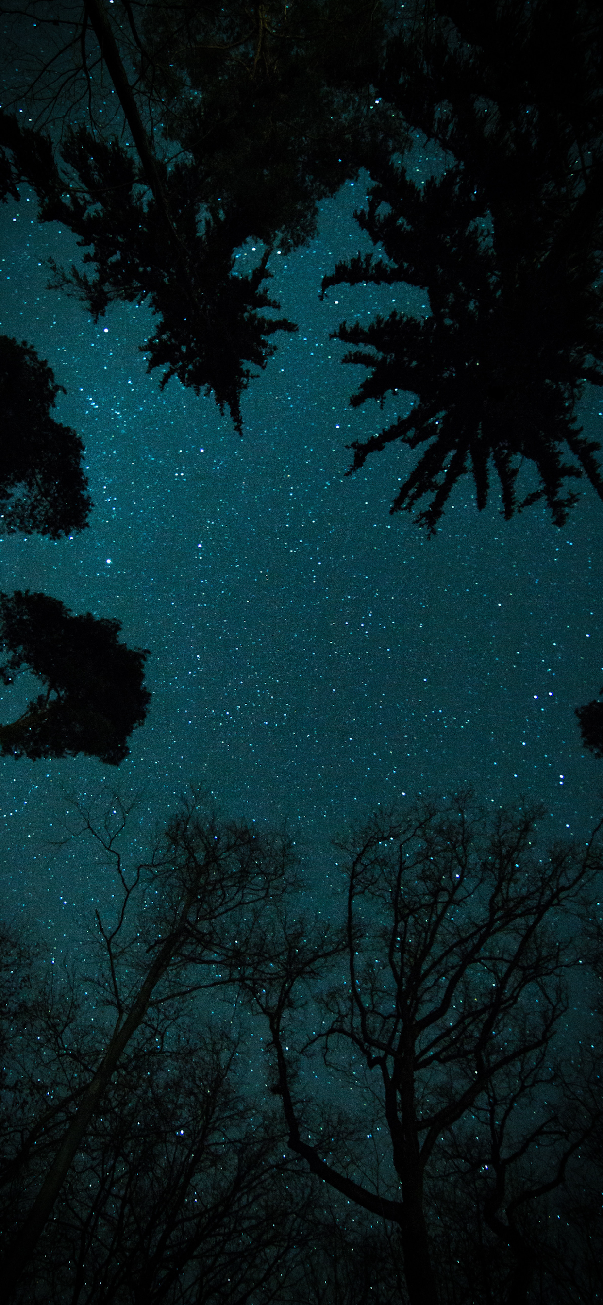 Stars Wallpaper for iPhone 11, Pro Max, X, 8, 7, 6