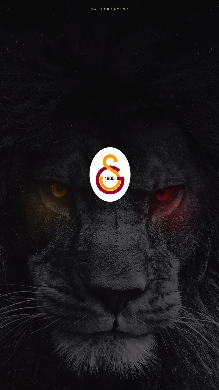 Galatasaray Wallpaper
