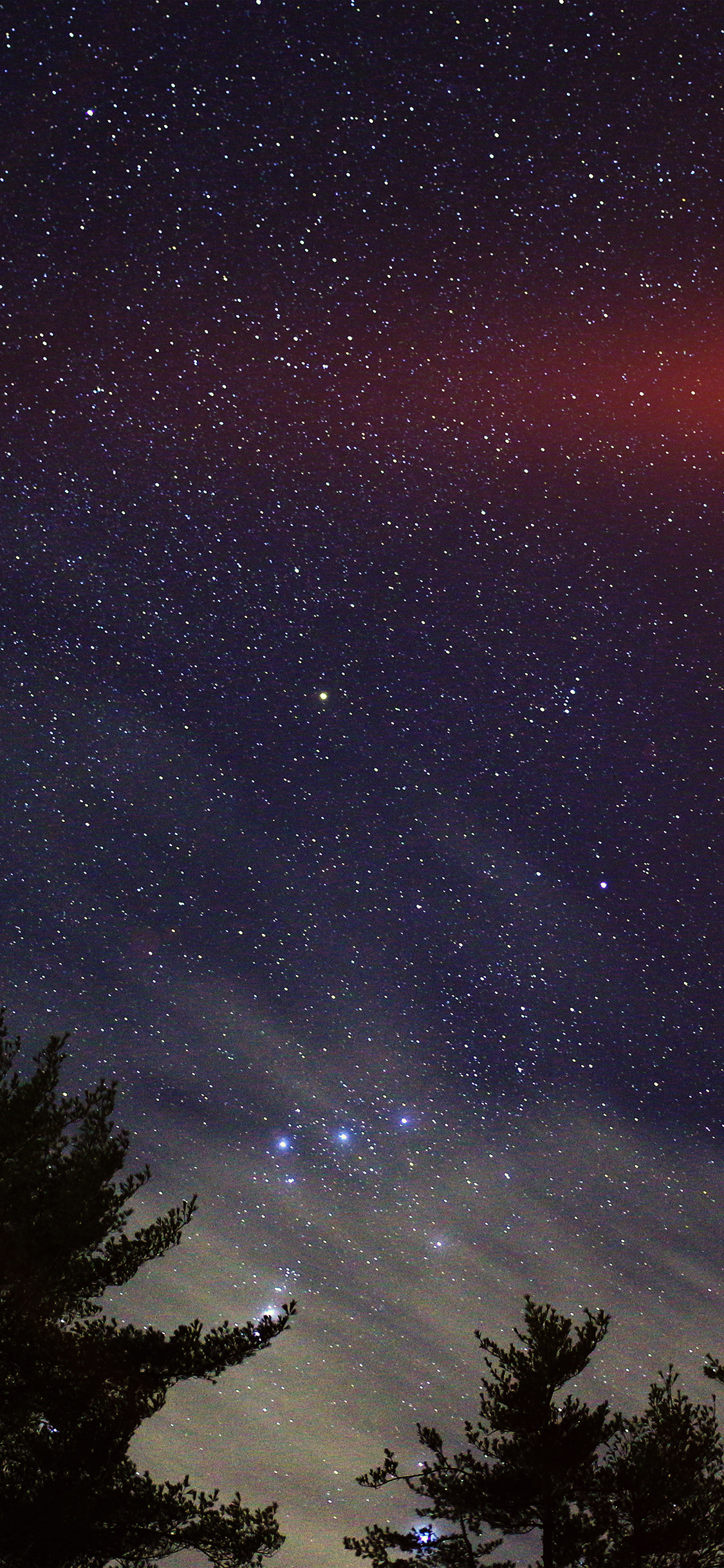 iPhone X wallpaper. night sky star wood space starry blue dark flare