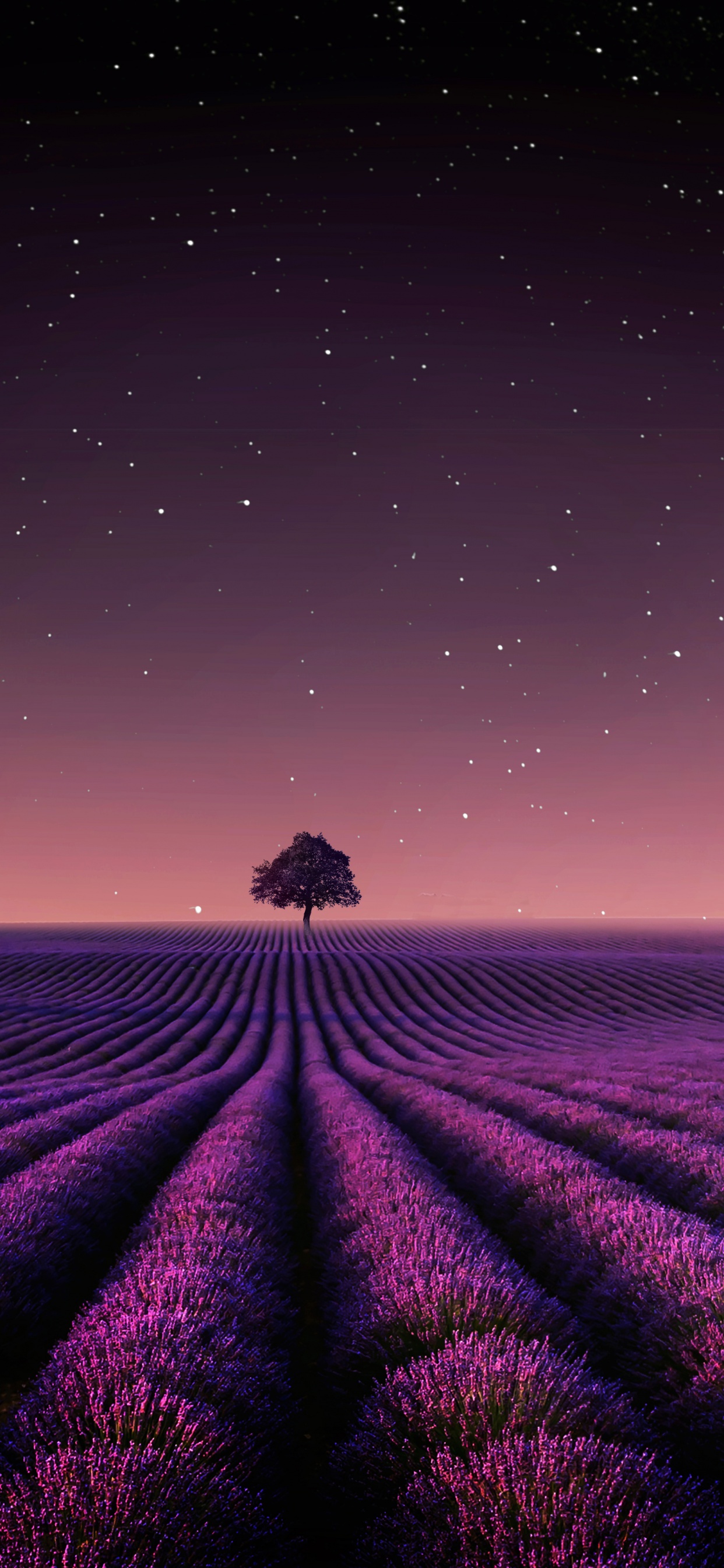Lavender fields Wallpaper 4K, Solitude Tree, Crescent Moon