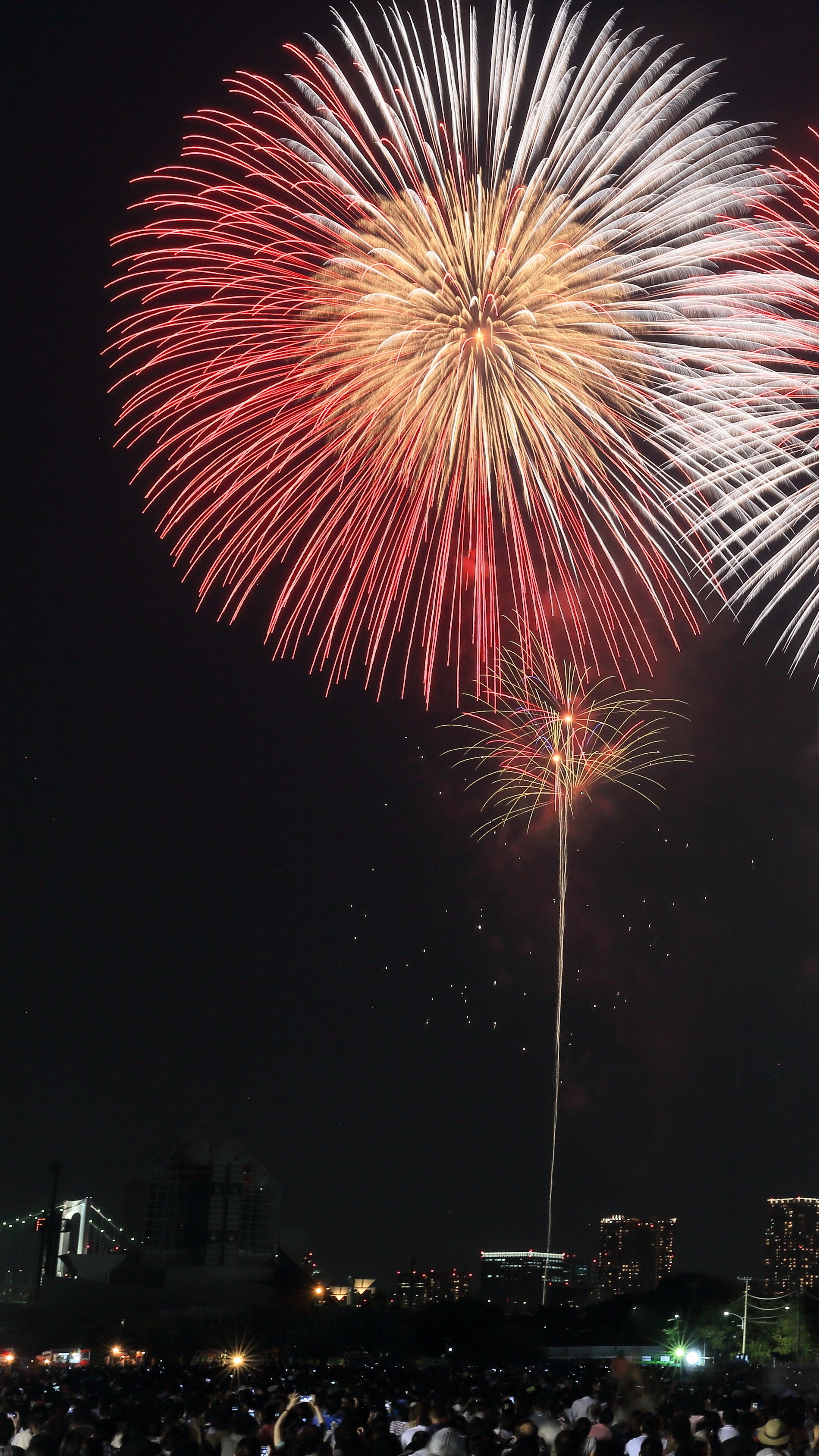 Fireworks phone wallpaper 1080P, 2k, 4k Full HD Wallpaper, Background Free Download