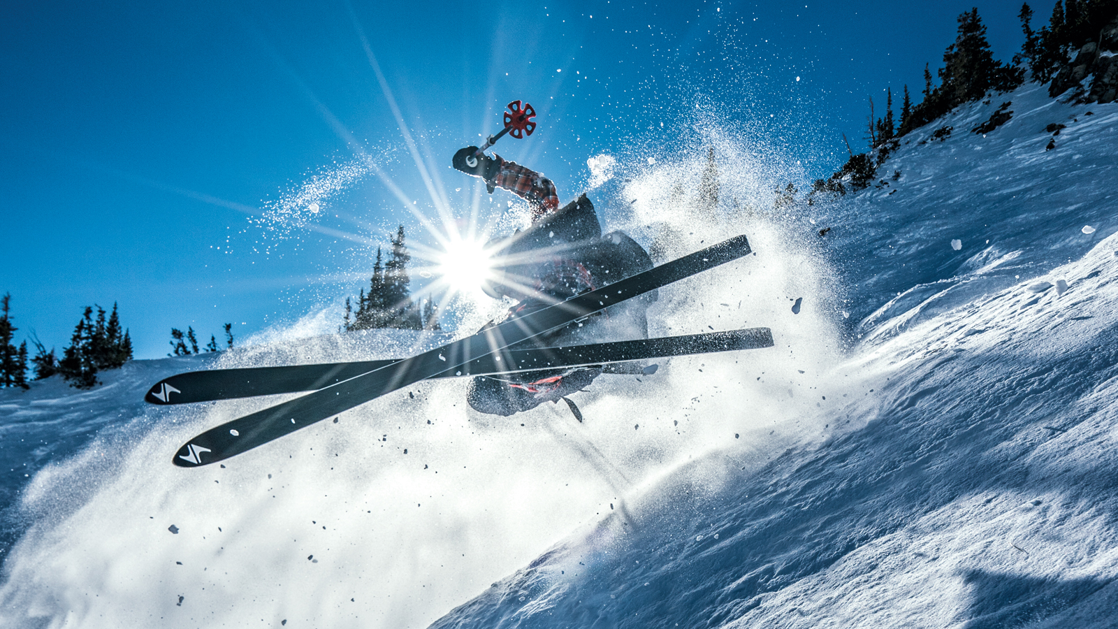 The best photo of FREESKIER Volume 21, Part II