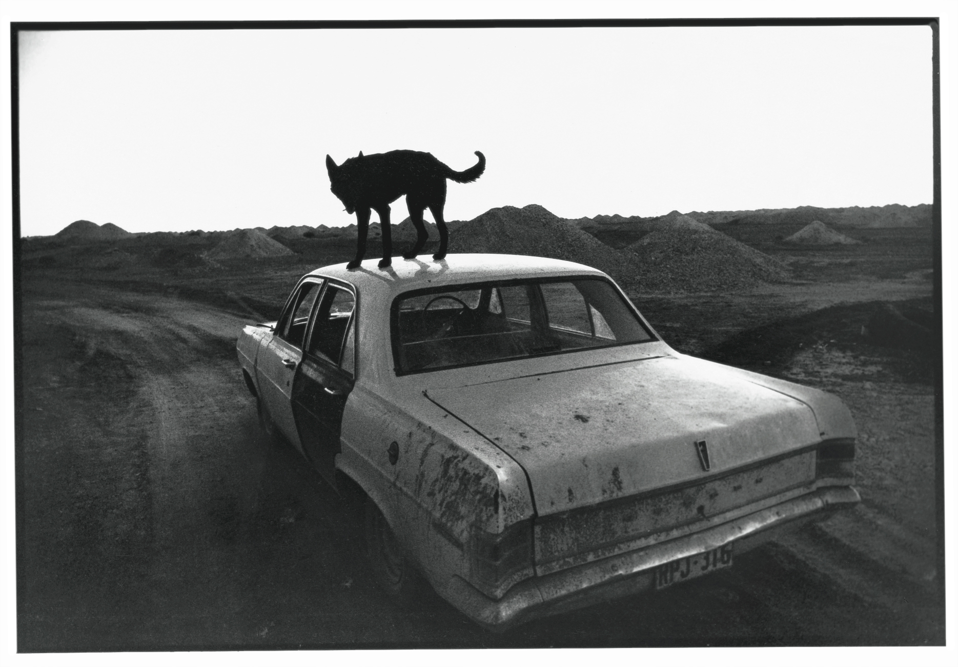 Wim Wenders' photography captures the landscapes that inspire his films