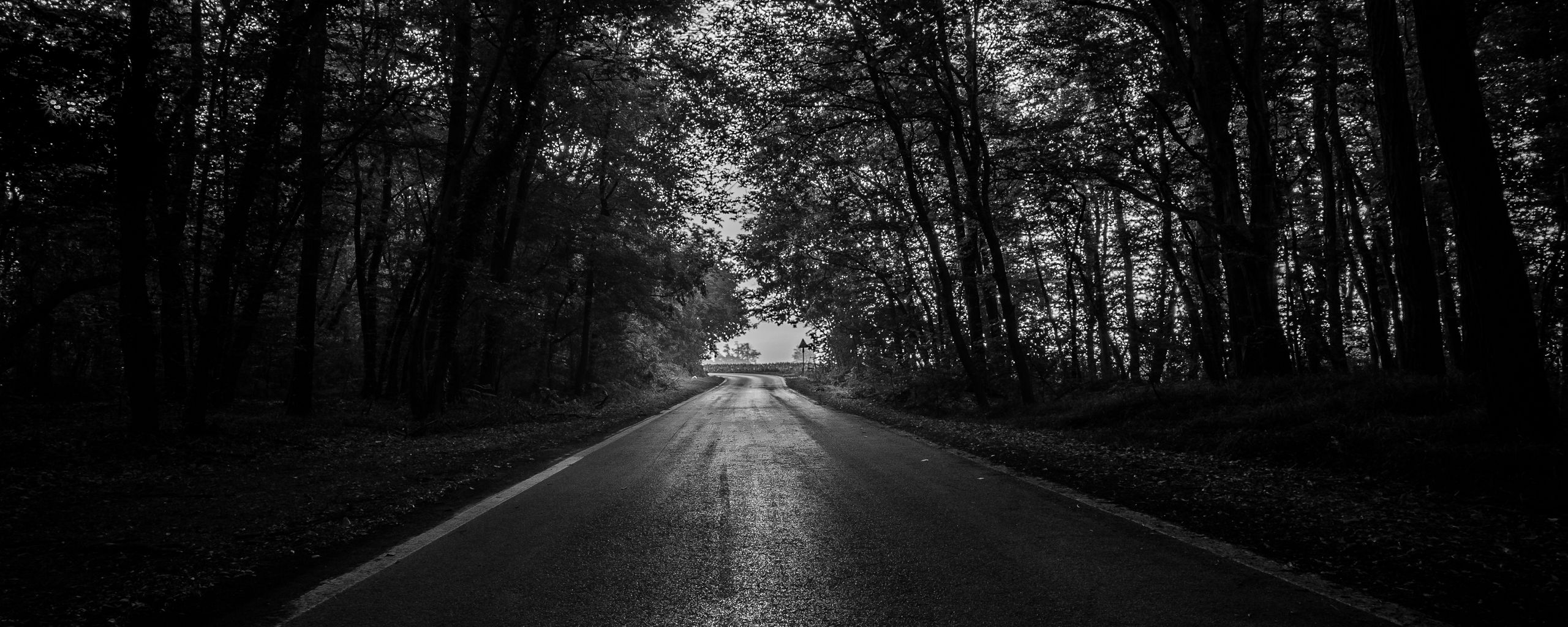Download wallpaper 2560x1024 road, trees, bw, dark, forest ultrawide monitor HD background