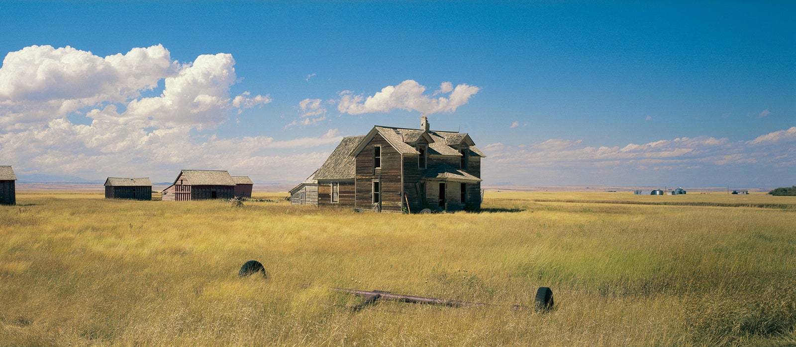 Wim Wenders's Open Road. The New Yorker