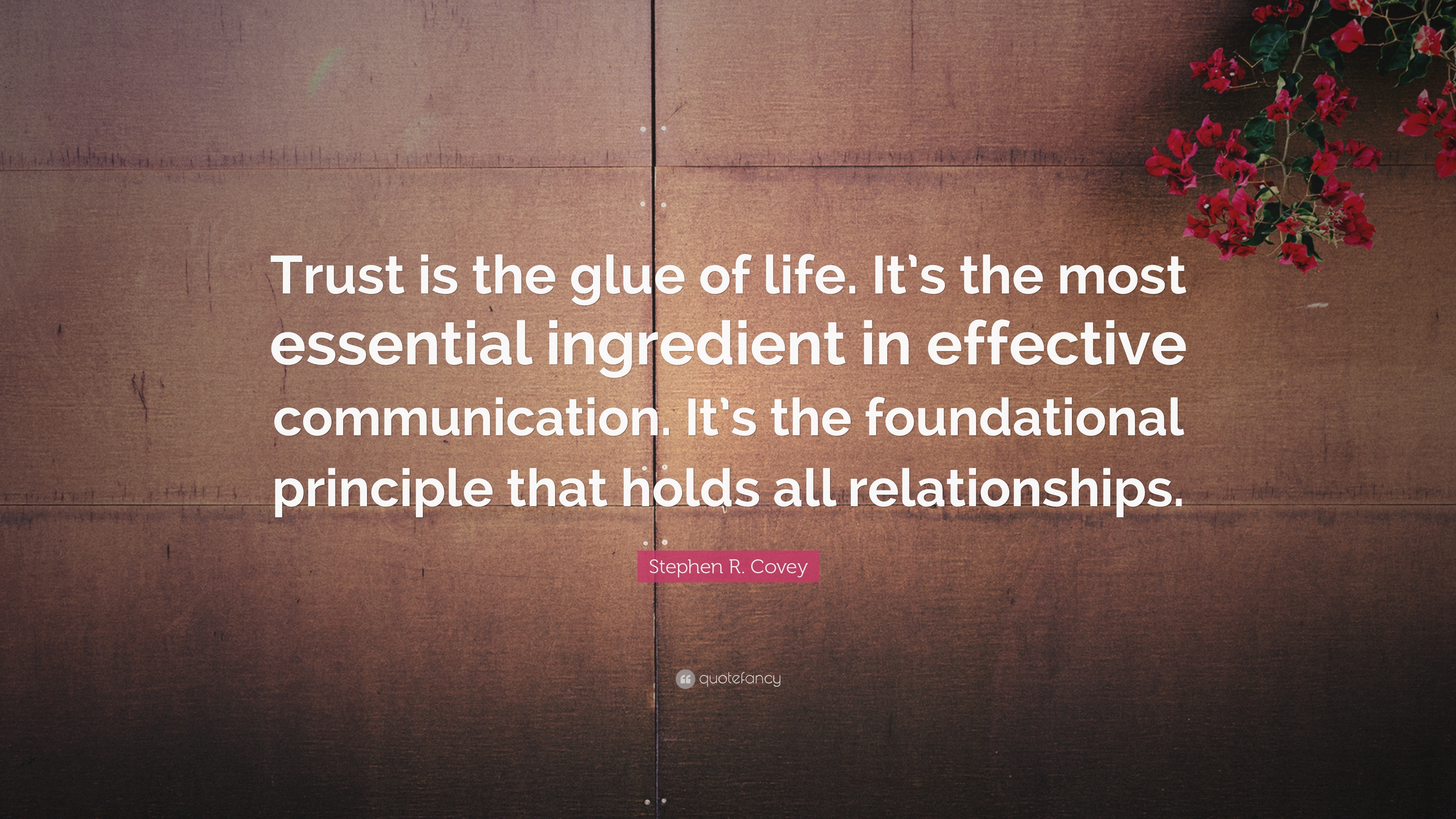 Quotes About Trust (2024 Update)