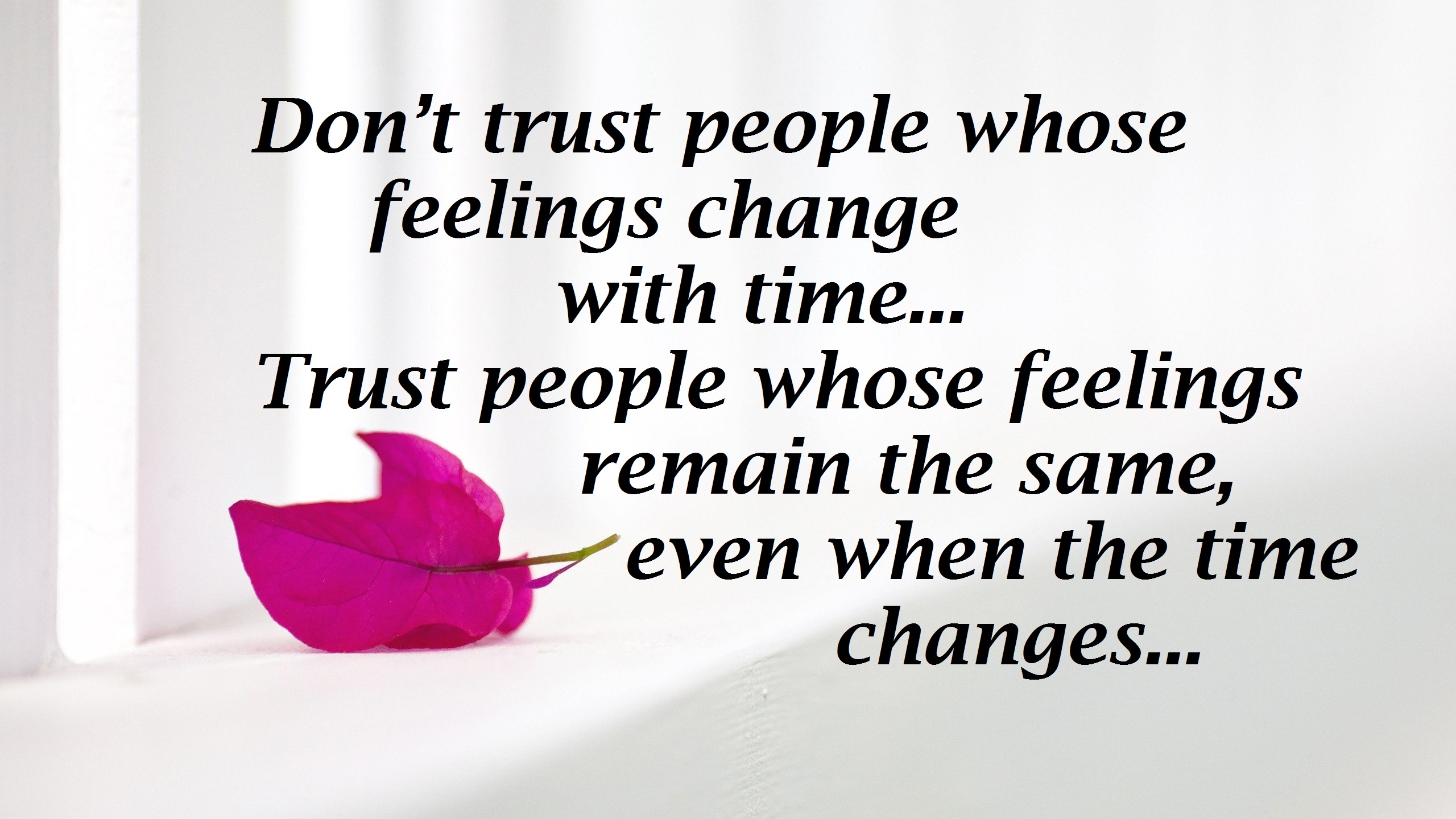 Beautiful Trust Quotes Image & Picture free download