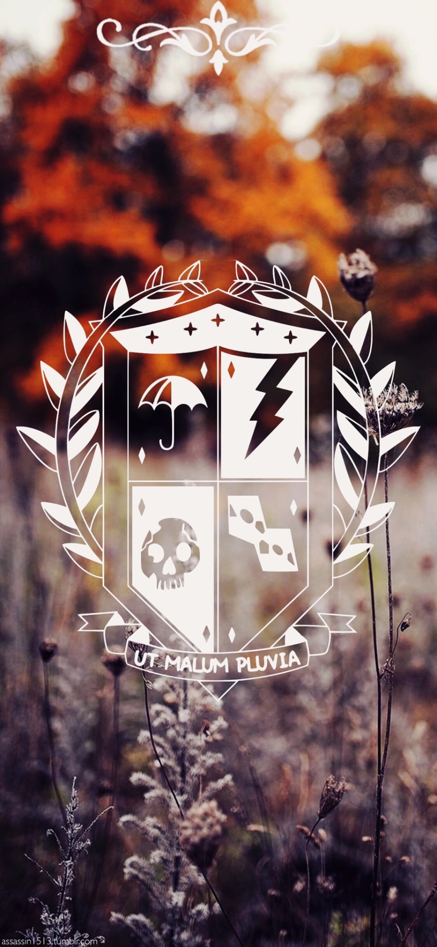 A lovely nonbinary pretty f*ck hunk