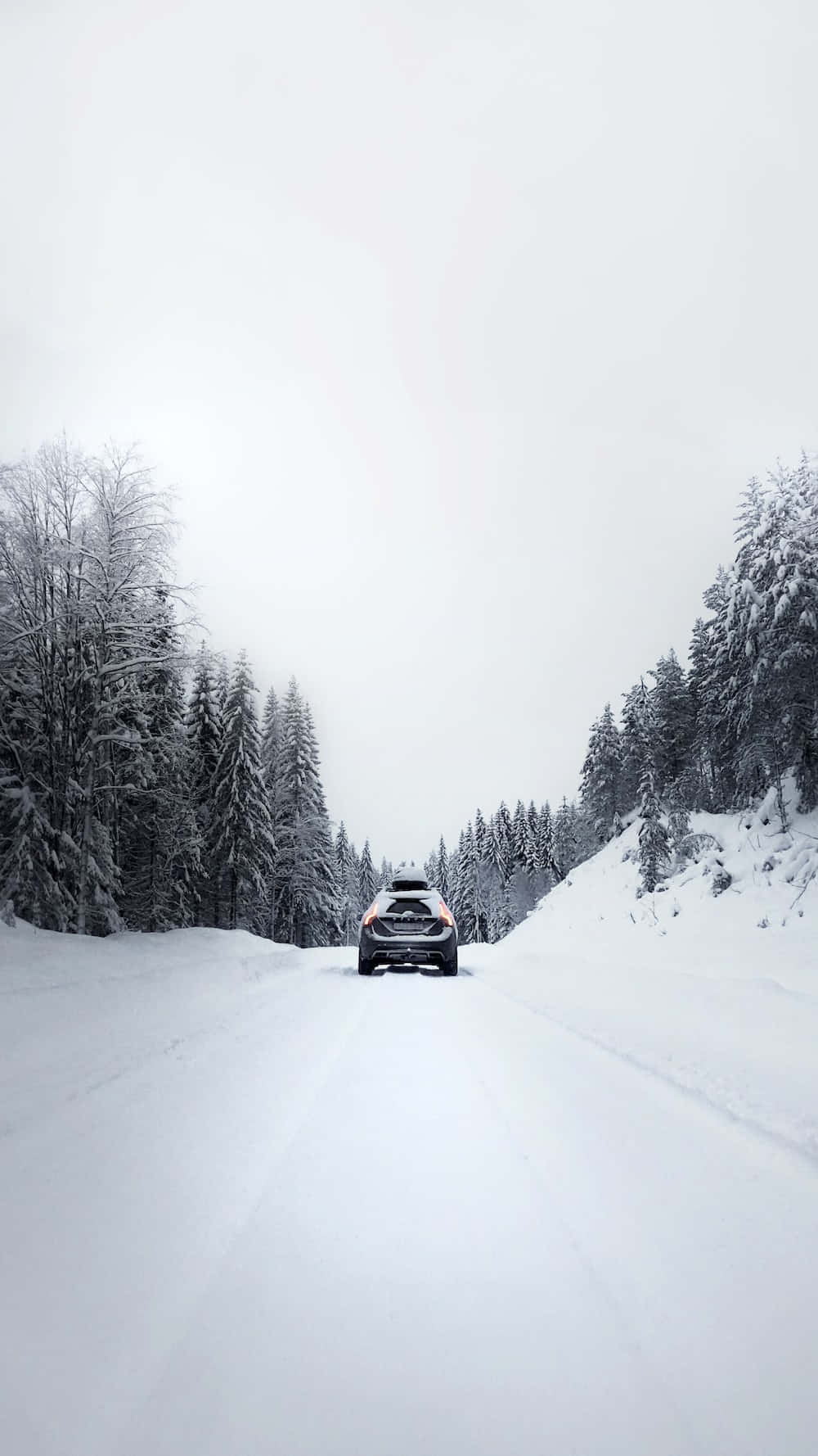 Download Serene Snowy Road amidst Winter Wallpaper