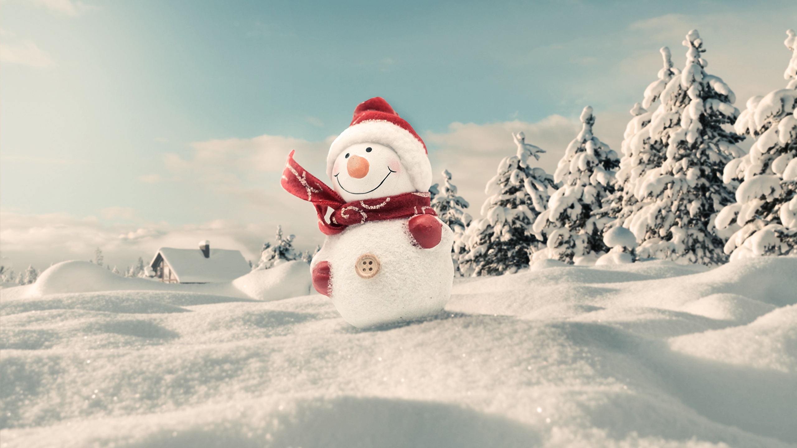 Desktop Wallpaper Christmas Scarf Winter Winter hat Snow 2560x1440