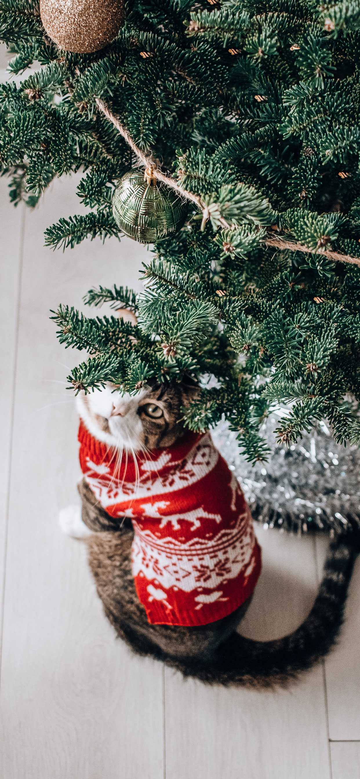 Festive Your Phone with These iPhone Cute Christmas Wallpaper