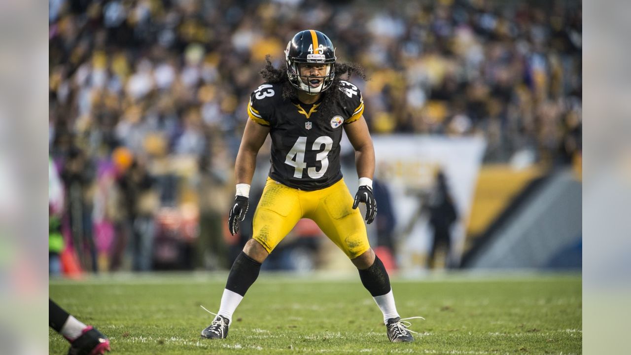 Top Ten Troy Polamalu Photo