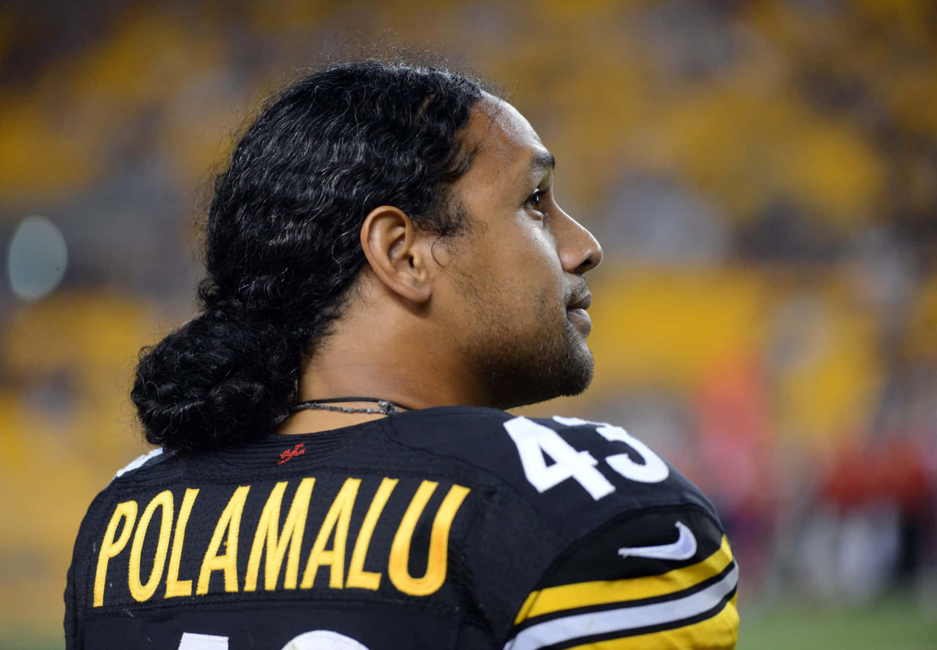 Download Troy Polamalu, former NFL safety for the Pittsburgh Steelers. Wallpaper