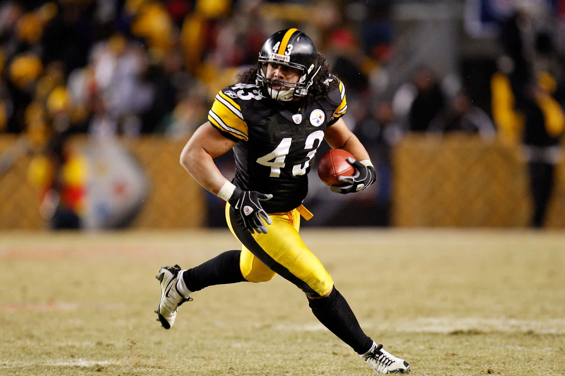 Troy Polamalu Background