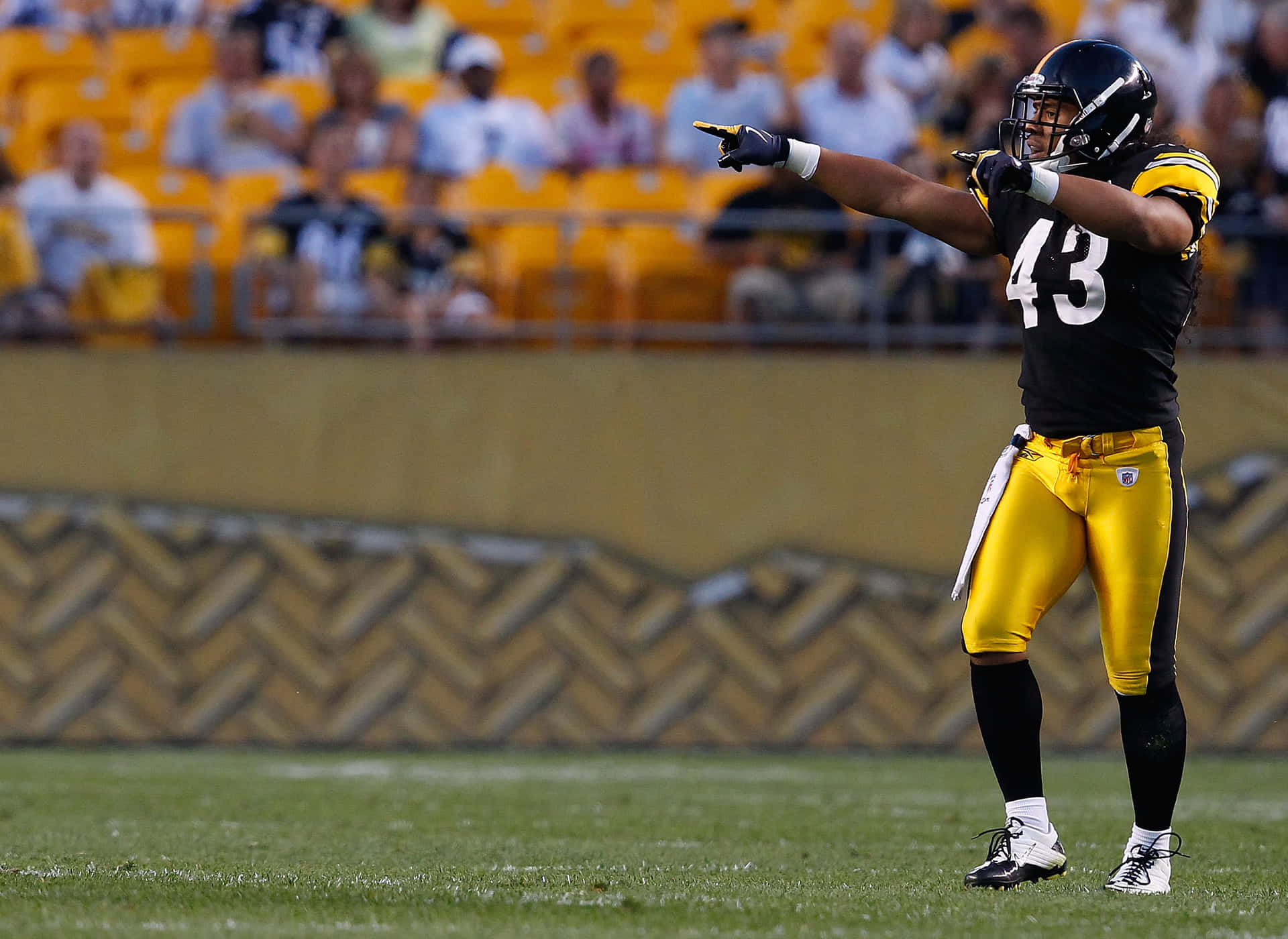 Download Pittsburgh Steelers Safety Troy Polamalu on the Field Wallpaper